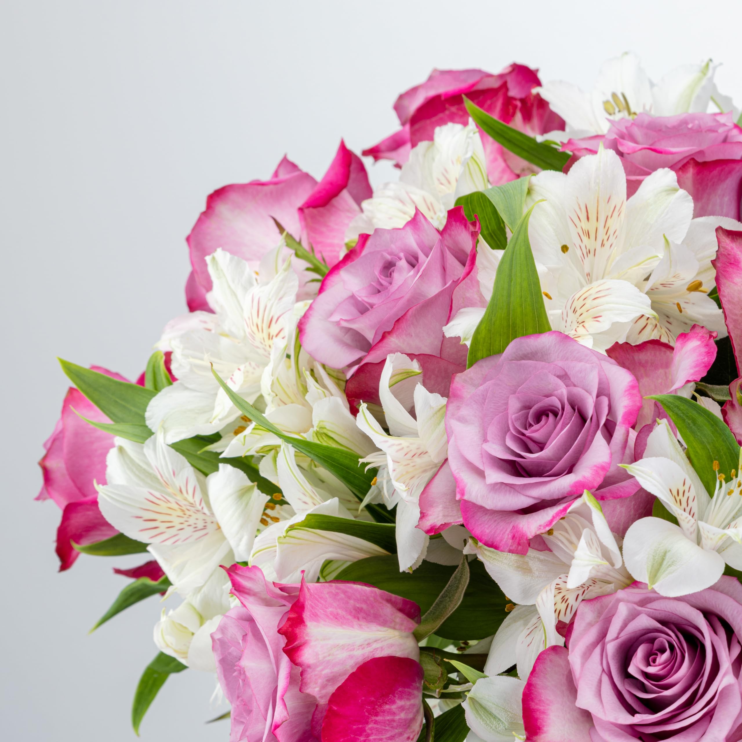 Benchmark Bouquets - Charming Roses & Alstroemeria (Glass Vase Included) - Fresh Flowers for Delivery - Gift for Graduation, Birthday, Anniversary, Sympathy, Get Well, Congratulations