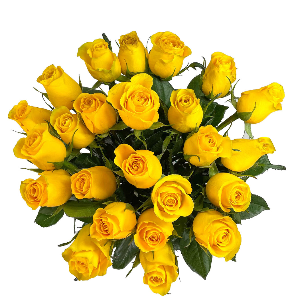 25 Pink Roses | Arabella Bouquets | Real Fresh Flowers for Delivery, Gift for Birthday Women, Congratulations, Anniversary, Thank You, Mother's Day