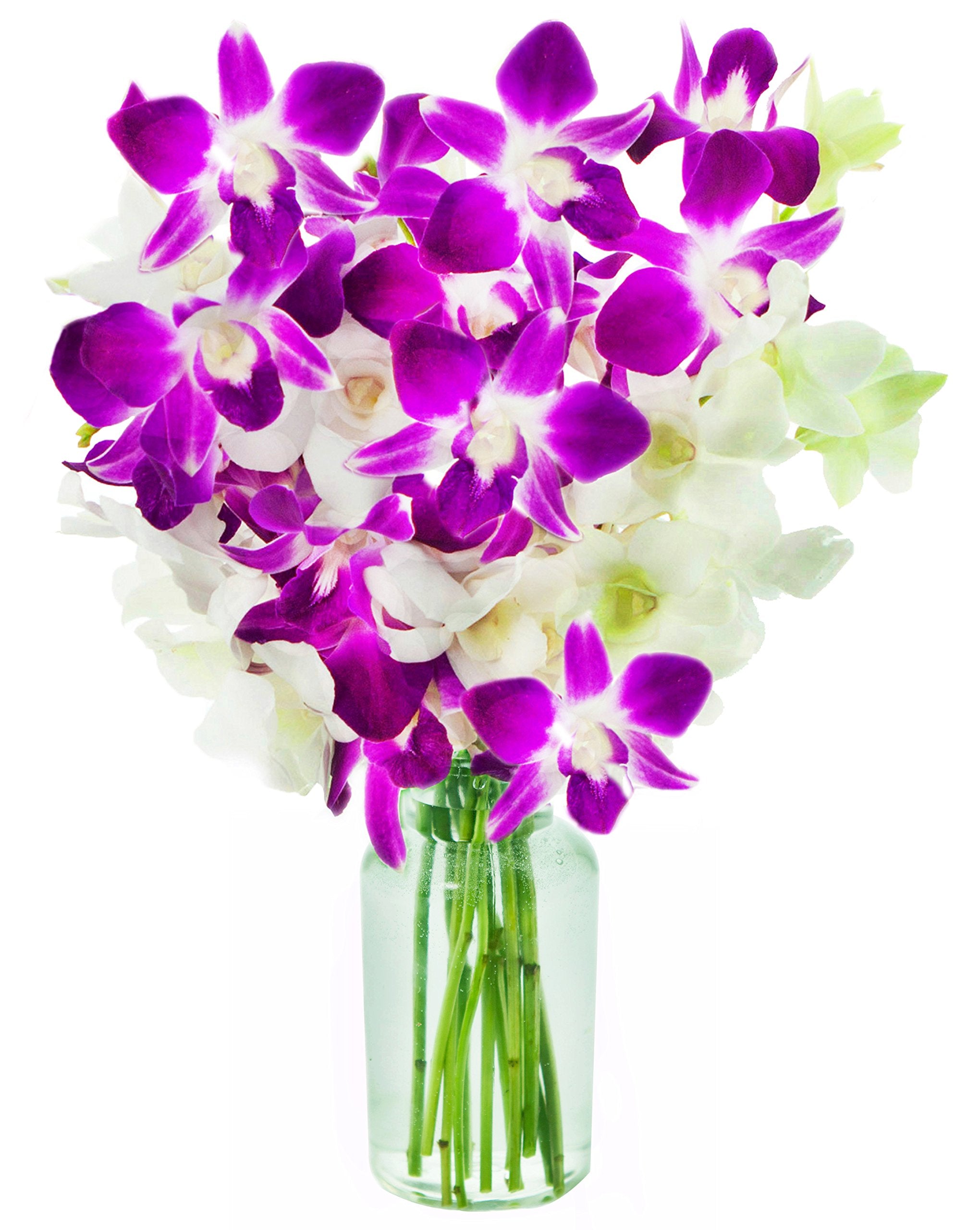KaBloom - Bouquet of 20 Exotic Purple Dendrobium Orchids from Thailand with Vase - Fresh Flowers for Birthday, Valentine's & Mother's Day
