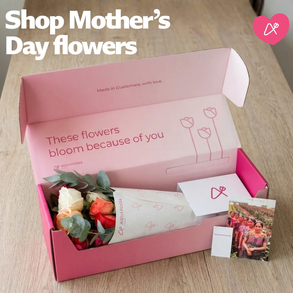 Aquarossa Farms – Mothers Day Flowers for Delivery, Fresh Flowers Bouquet, Handpicked from the Farm, Gift for Mom, Birthday, Anniversary, or Just Because – 24 Fresh Roses