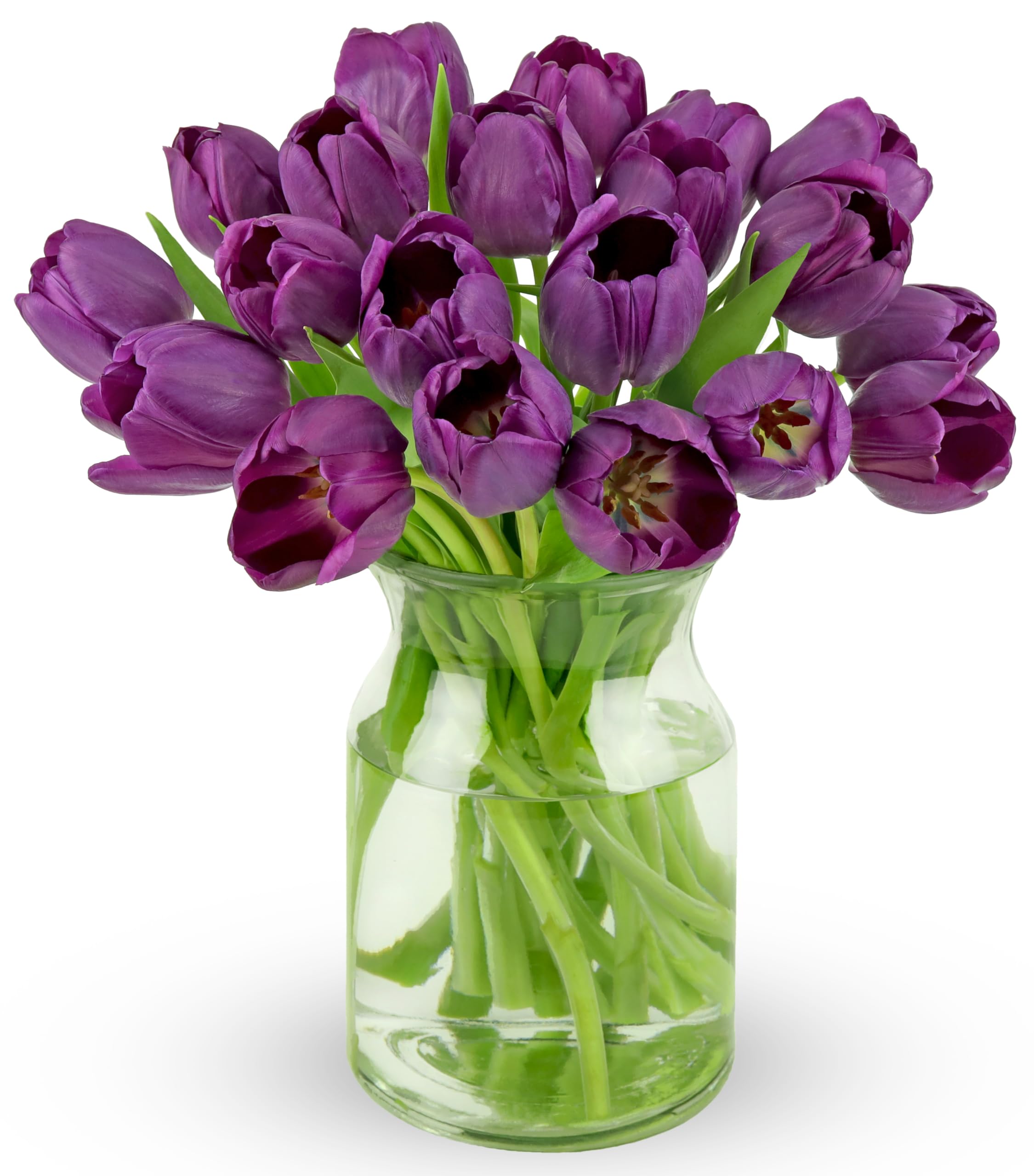 Benchmark Bouquets Pink Tulips – Mothers Day Flowers for Mom – Fresh Flowers for Delivery – Pink Bouquet – Birthday Gifts for Women – Fresh Cut Tulips – Glass Vase Included (20 Stems)