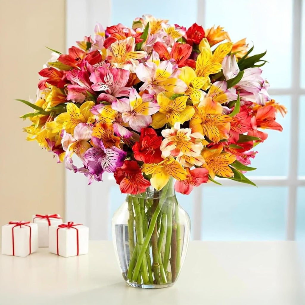 24 Multicolored Alstroemeria Bouquet Flowers, Long Lasting & Hand-Tied, Farm Fresh Cut Flowers Bouquet - Gift for Birthday, Anniversary, Mothers Day Flowers | No Vase.