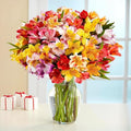 24 Multicolored Alstroemeria Bouquet Flowers, Long Lasting & Hand-Tied, Farm Fresh Cut Flowers Bouquet - Gift for Birthday, Anniversary, Mothers Day Flowers | No Vase.
