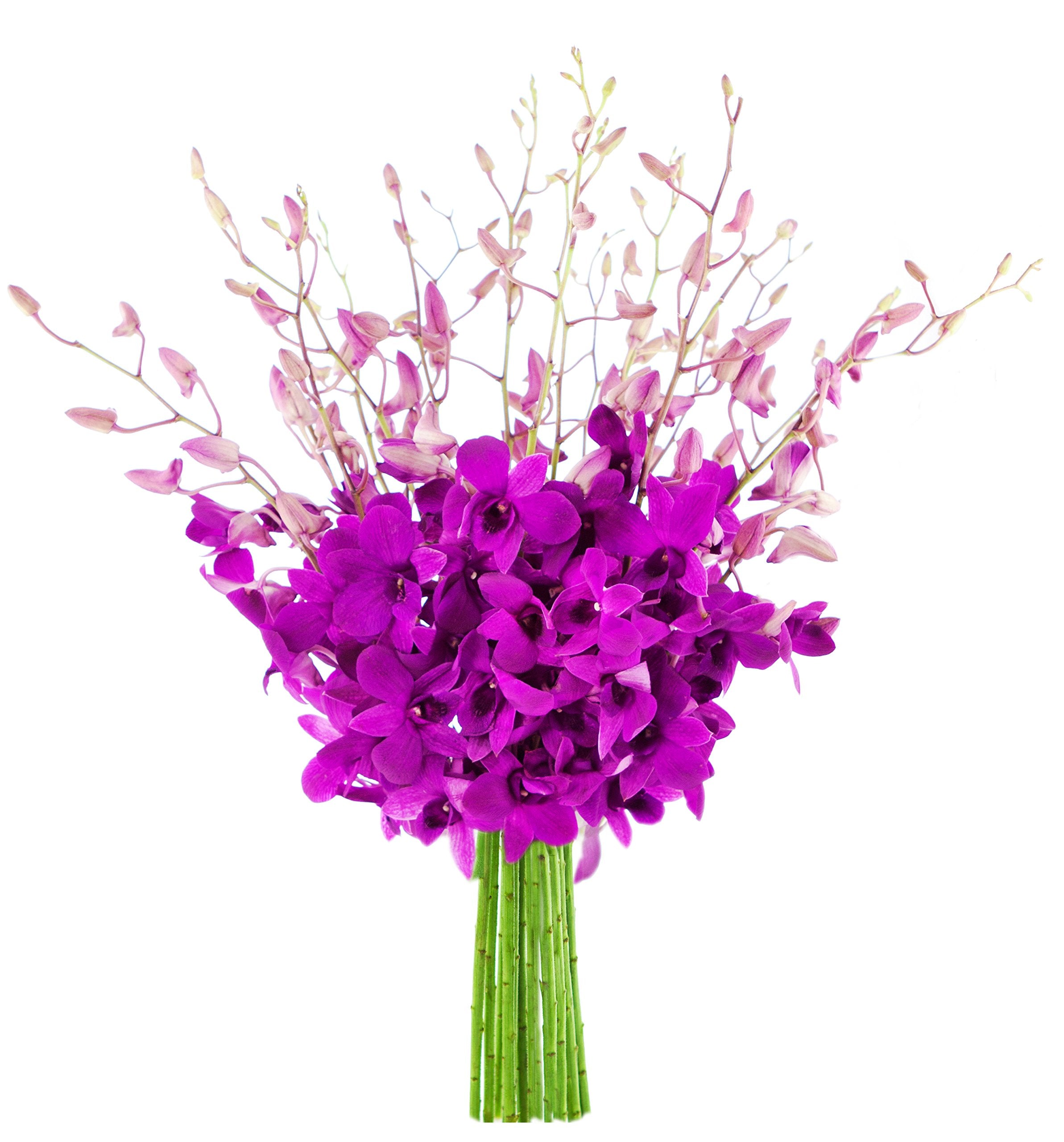 KaBloom - Bouquet of 20 Exotic Purple Dendrobium Orchids from Thailand with Vase - Fresh Flowers for Birthday, Valentine's & Mother's Day