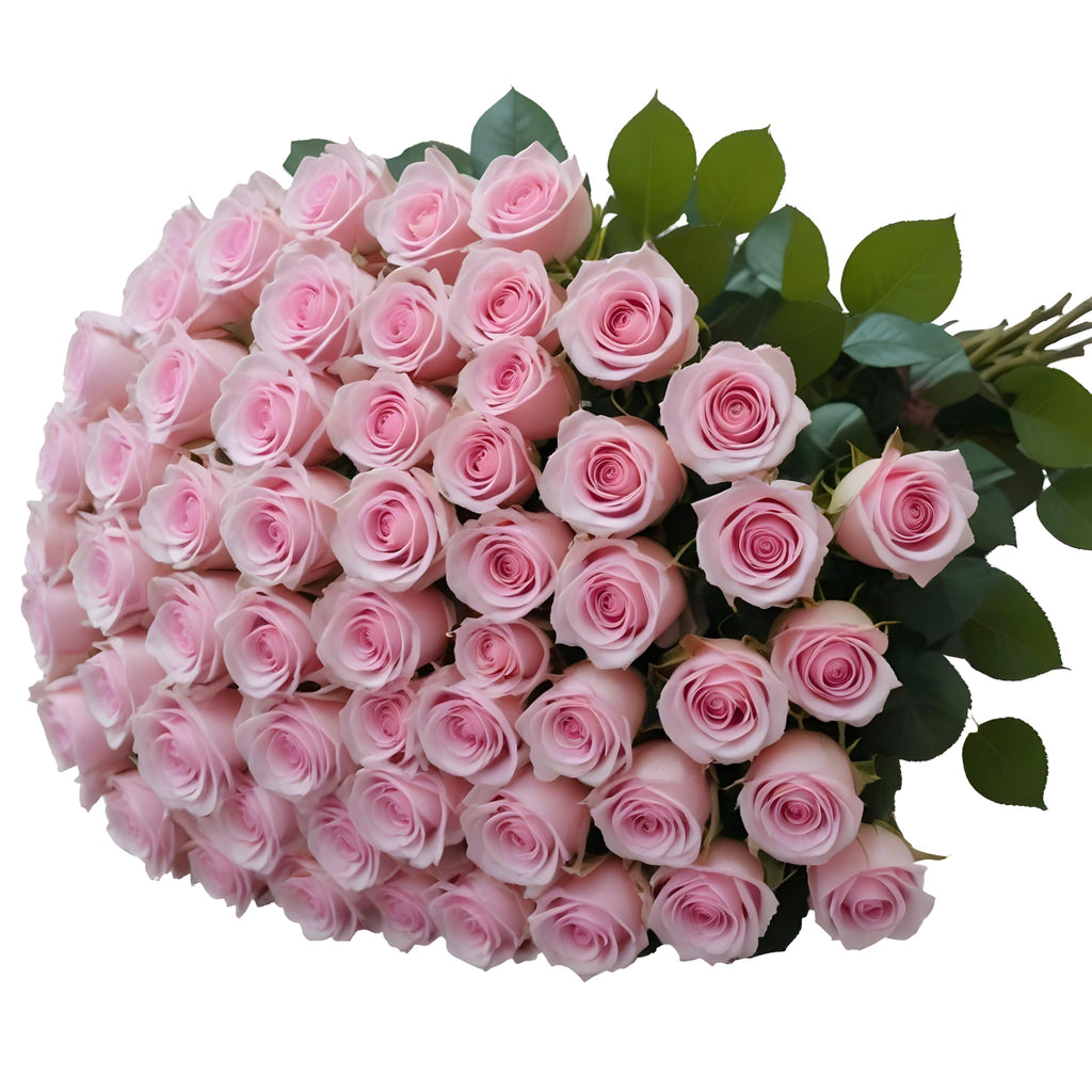 25 Pink Roses | Arabella Bouquets | Real Fresh Flowers for Delivery, Gift for Birthday Women, Congratulations, Anniversary, Thank You, Mother's Day