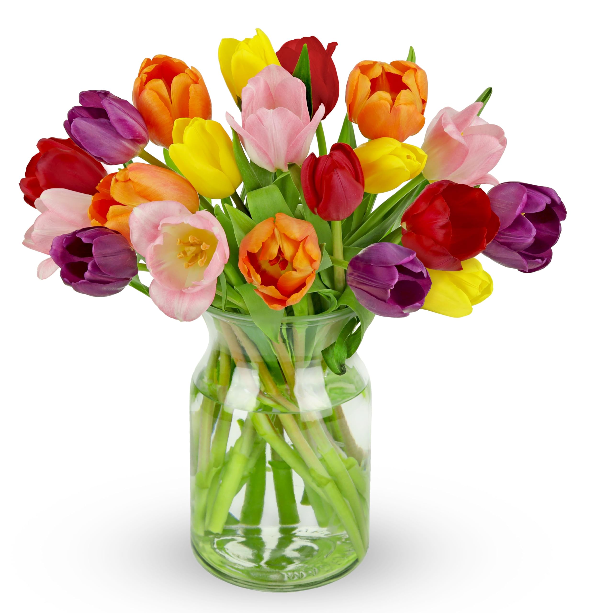Benchmark Bouquets Pink Tulips – Mothers Day Flowers for Mom – Fresh Flowers for Delivery – Pink Bouquet – Birthday Gifts for Women – Fresh Cut Tulips – Glass Vase Included (20 Stems)