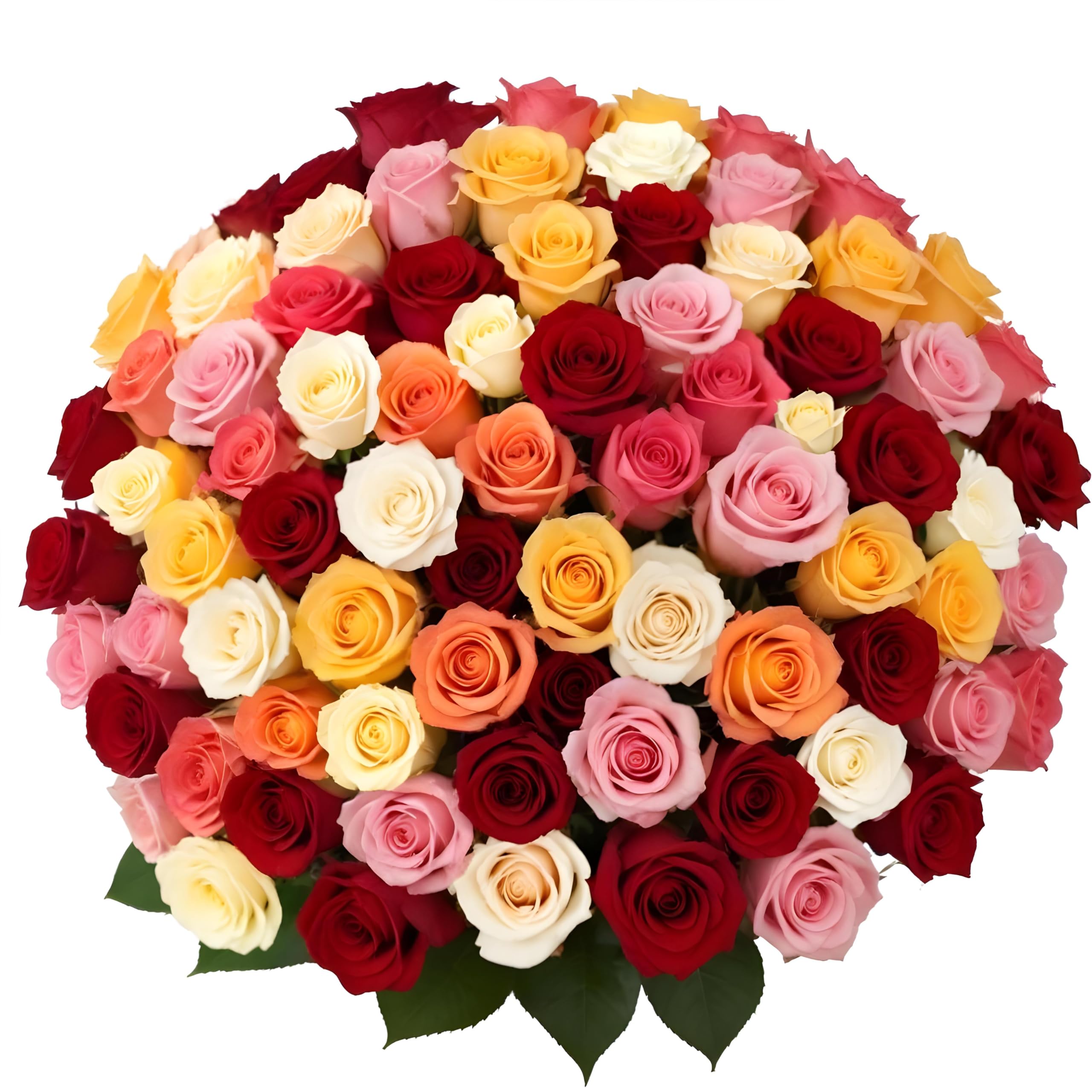 25 Pink Roses | Arabella Bouquets | Real Fresh Flowers for Delivery, Gift for Birthday Women, Congratulations, Anniversary, Thank You, Mother's Day