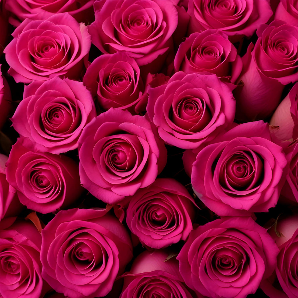 25 Pink Roses | Arabella Bouquets | Real Fresh Flowers for Delivery, Gift for Birthday Women, Congratulations, Anniversary, Thank You, Mother's Day