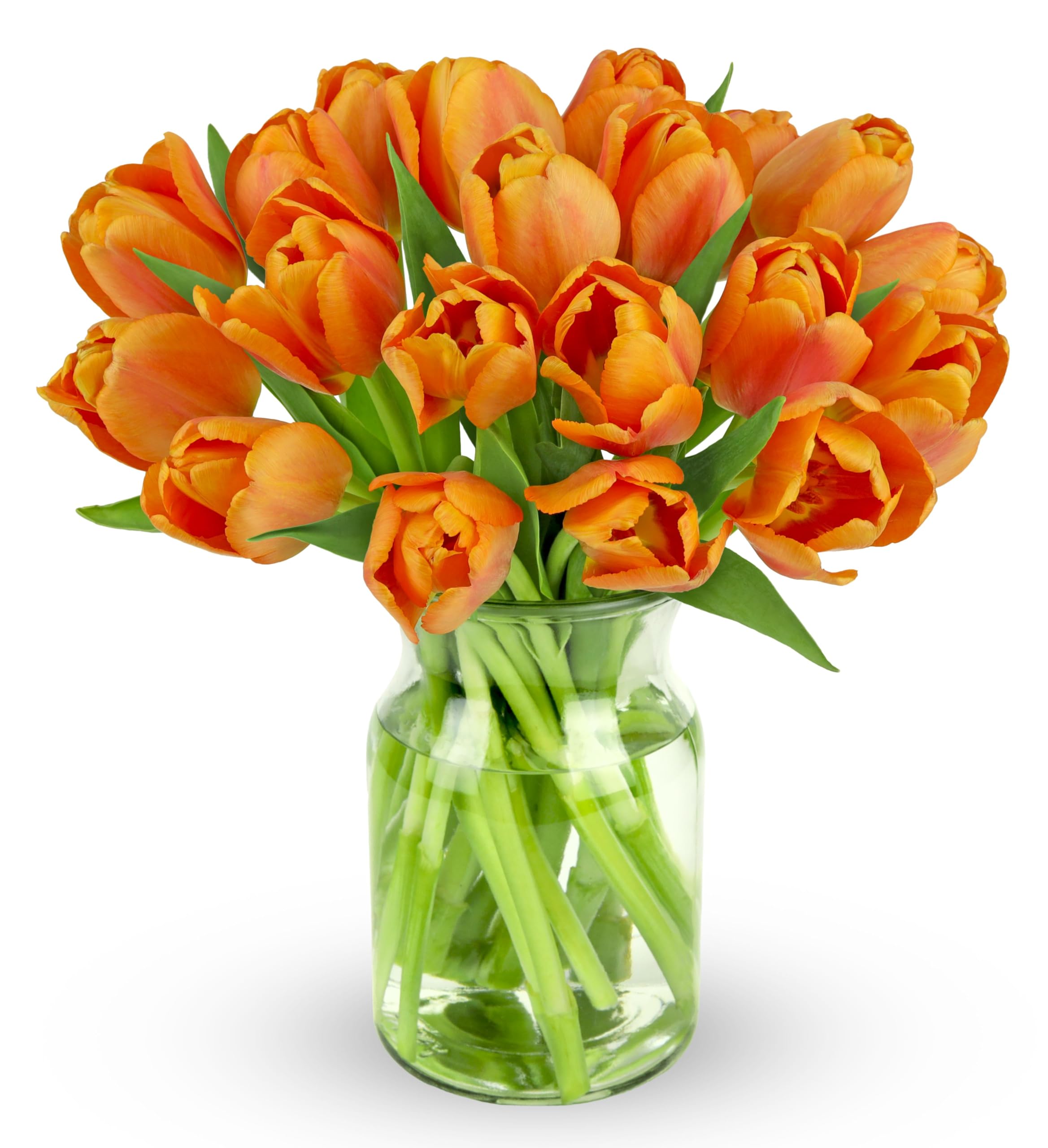 Benchmark Bouquets Pink Tulips – Mothers Day Flowers for Mom – Fresh Flowers for Delivery – Pink Bouquet – Birthday Gifts for Women – Fresh Cut Tulips – Glass Vase Included (20 Stems)
