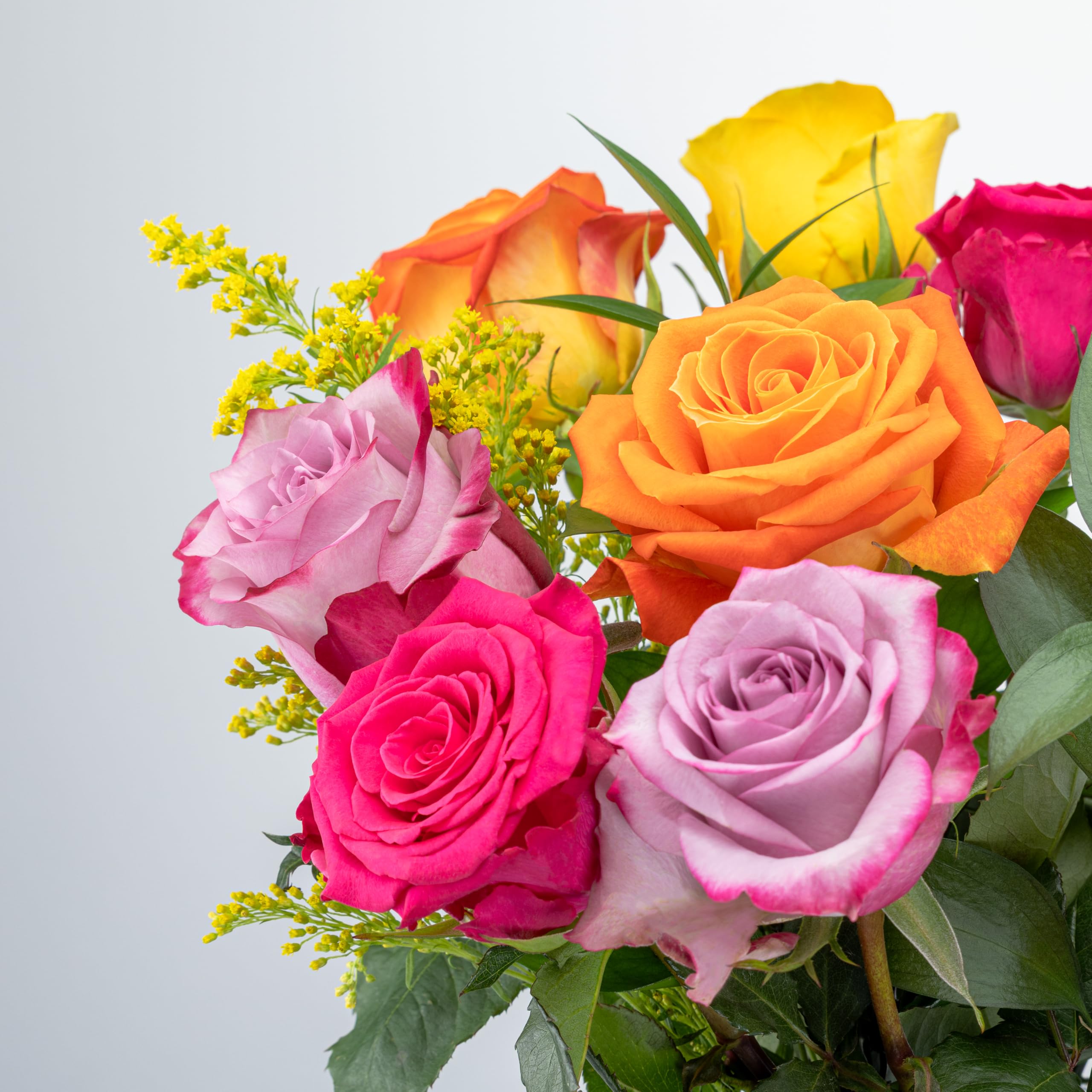 Benchmark Bouquets One Dozen Long Stem Rose Bouquet – Real Fresh Flowers for Delivery – Mother’s Day Roses Assorted Colors – Gifts for Mom, Birthdays & Celebrations – Glass Vase Included