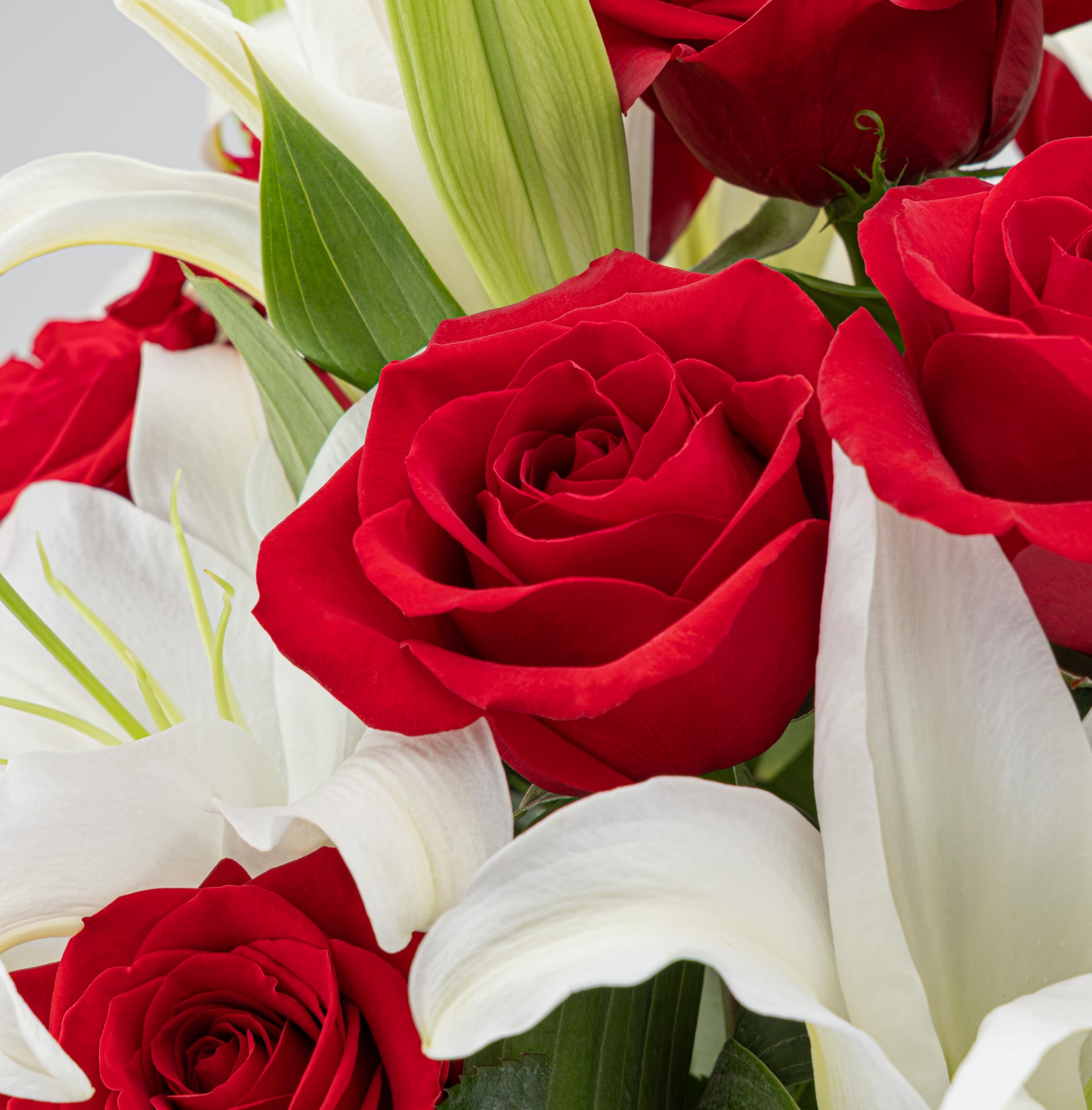 Benchmark Bouquets Oriental Lily & Pink Rose Bouquet – Real Fresh Flowers for Delivery – Mothers Day Flowers for Mom – Long Stem Roses Fragrant Lilies – Gifts for Mom & Mother-in-Law – Vase Included