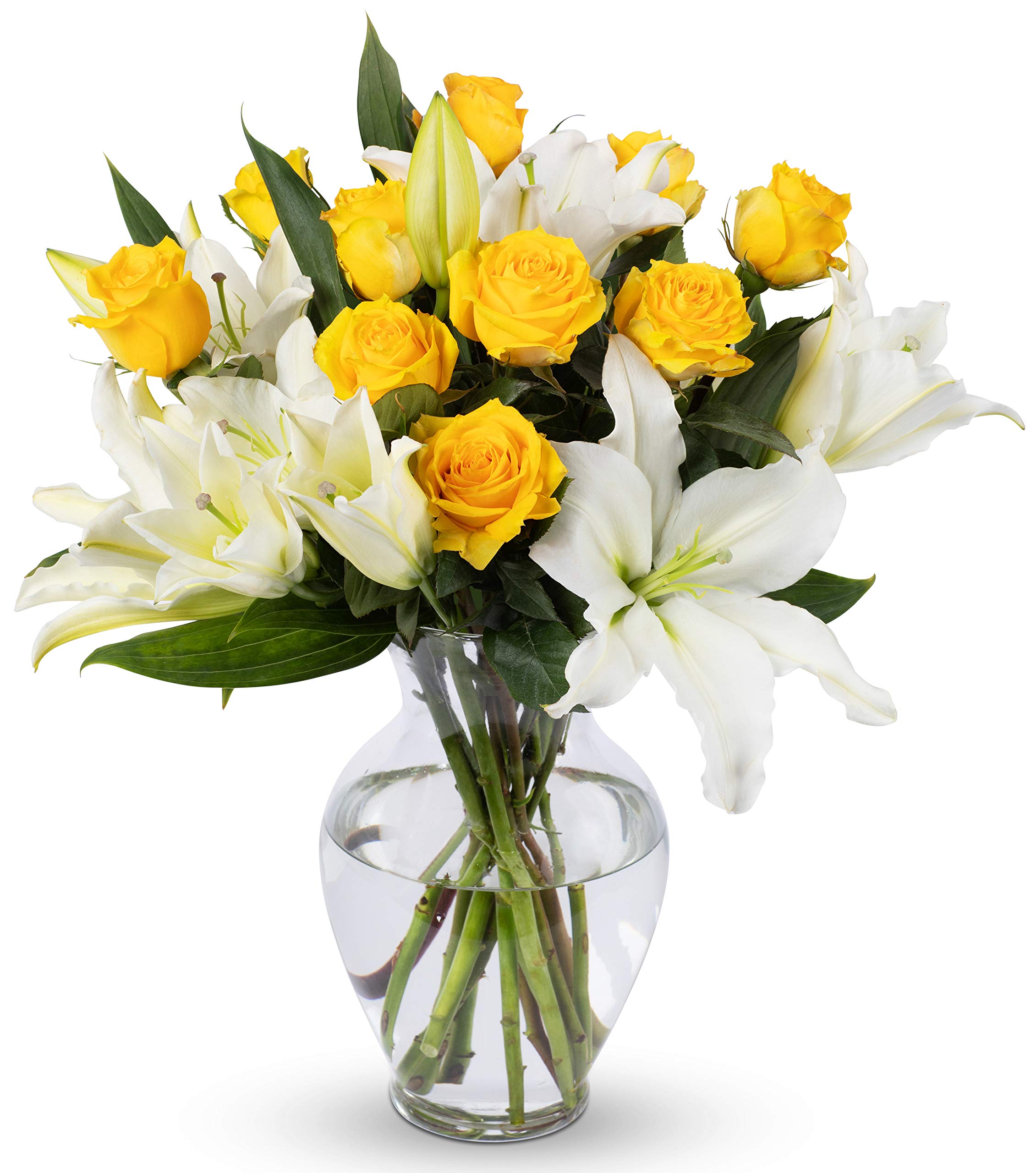 Benchmark Bouquets Oriental Lily & Pink Rose Bouquet – Real Fresh Flowers for Delivery – Mothers Day Flowers for Mom – Long Stem Roses Fragrant Lilies – Gifts for Mom & Mother-in-Law – Vase Included