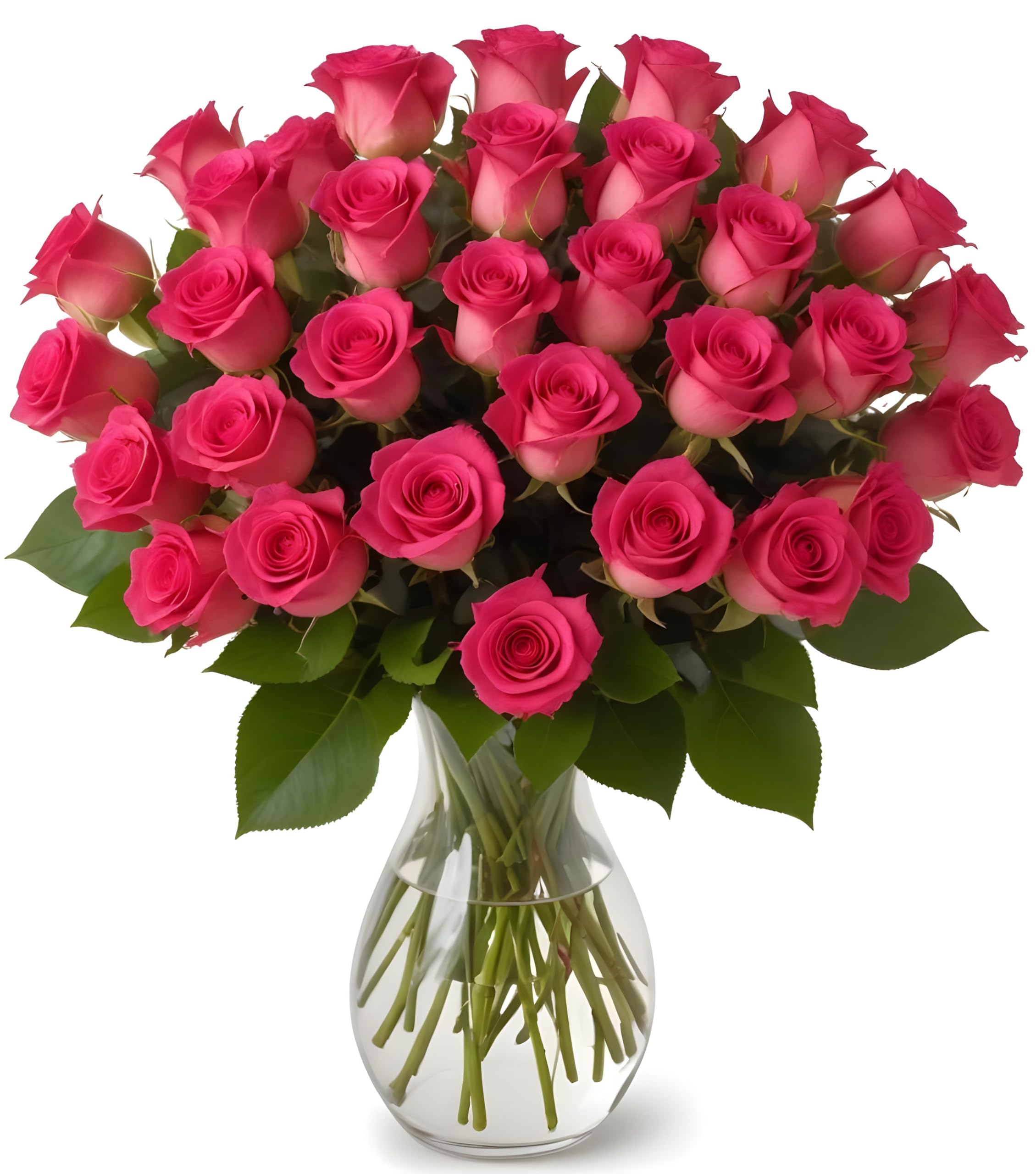 25 Pink Roses | Arabella Bouquets | Real Fresh Flowers for Delivery, Gift for Birthday Women, Congratulations, Anniversary, Thank You, Mother's Day