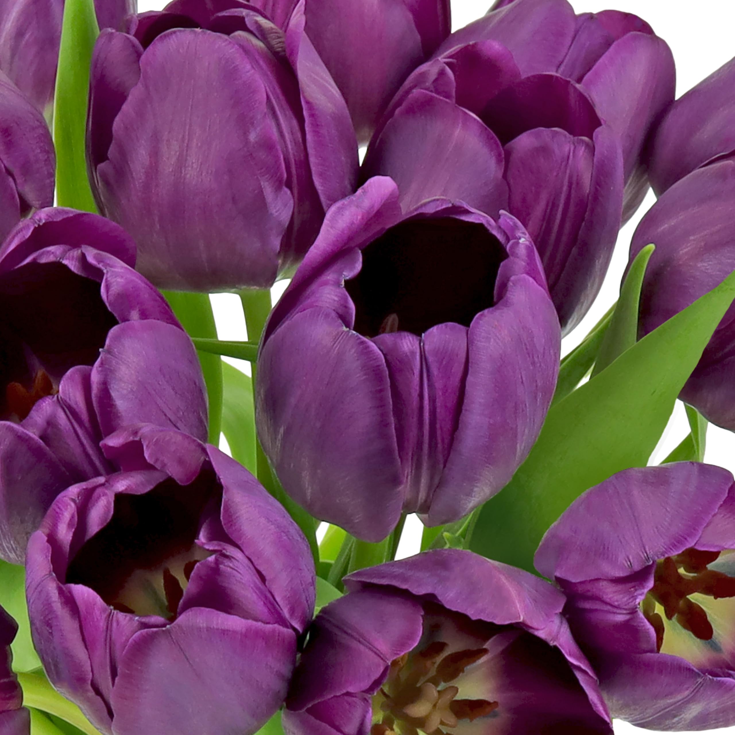 Benchmark Bouquets Pink Tulips – Mothers Day Flowers for Mom – Fresh Flowers for Delivery – Pink Bouquet – Birthday Gifts for Women – Fresh Cut Tulips – Glass Vase Included (20 Stems)