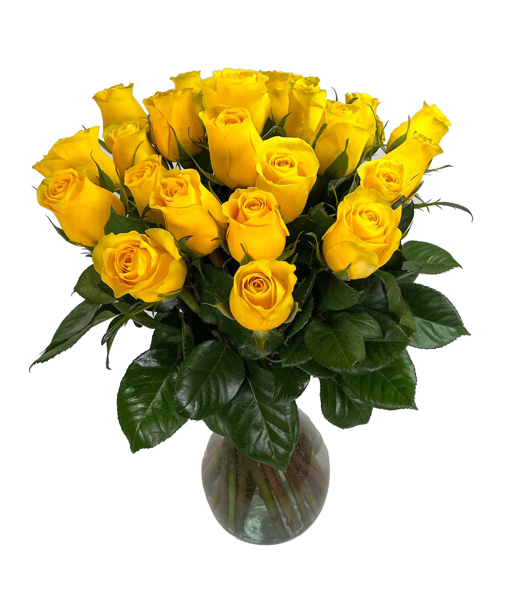 25 Pink Roses | Arabella Bouquets | Real Fresh Flowers for Delivery, Gift for Birthday Women, Congratulations, Anniversary, Thank You, Mother's Day
