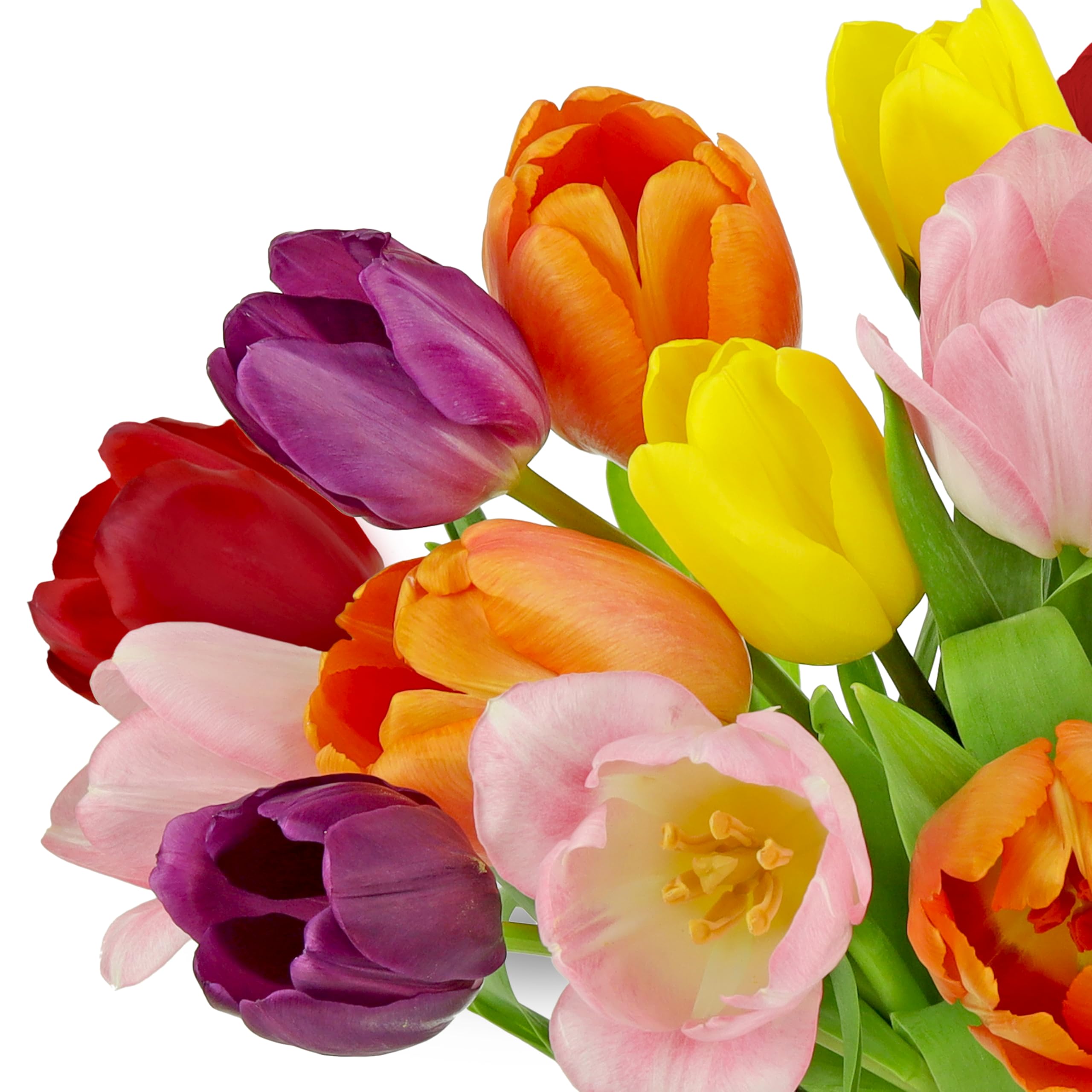 Benchmark Bouquets Pink Tulips – Mothers Day Flowers for Mom – Fresh Flowers for Delivery – Pink Bouquet – Birthday Gifts for Women – Fresh Cut Tulips – Glass Vase Included (20 Stems)