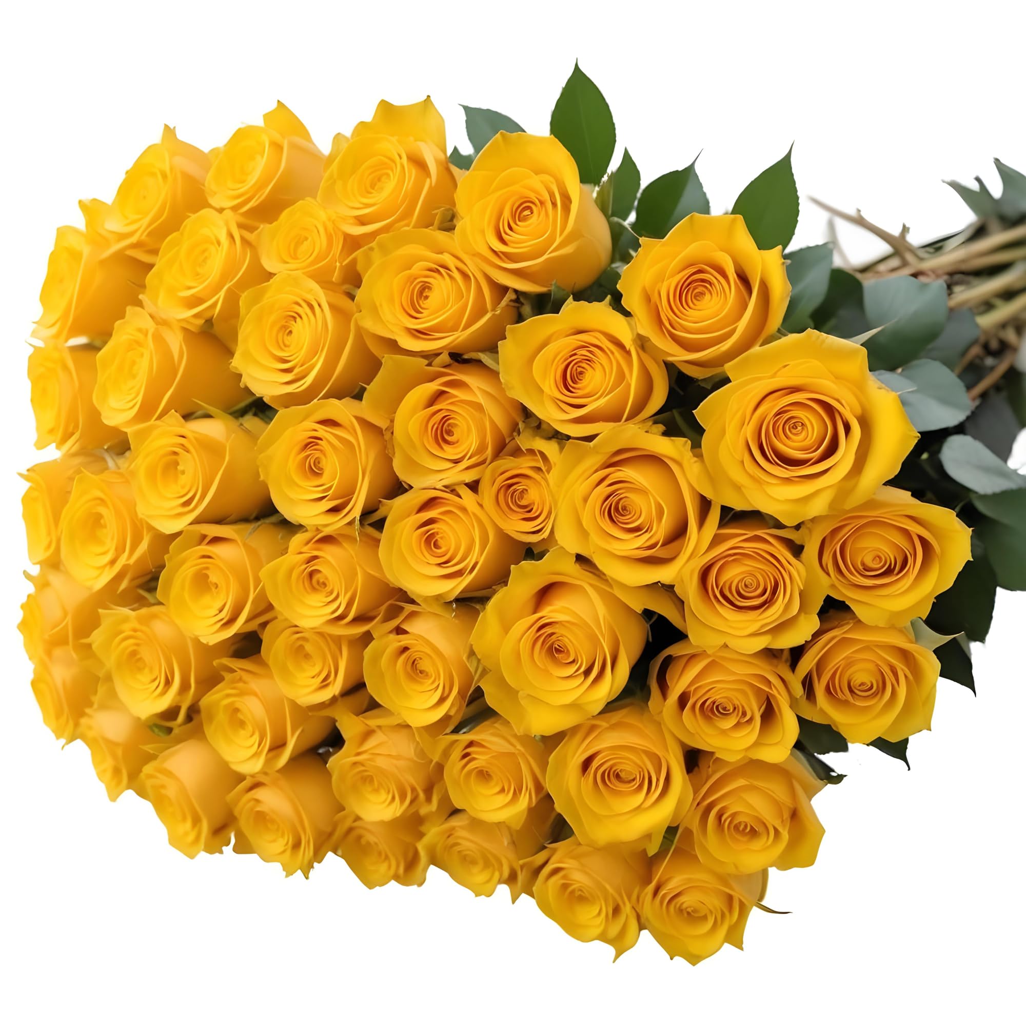 25 Pink Roses | Arabella Bouquets | Real Fresh Flowers for Delivery, Gift for Birthday Women, Congratulations, Anniversary, Thank You, Mother's Day