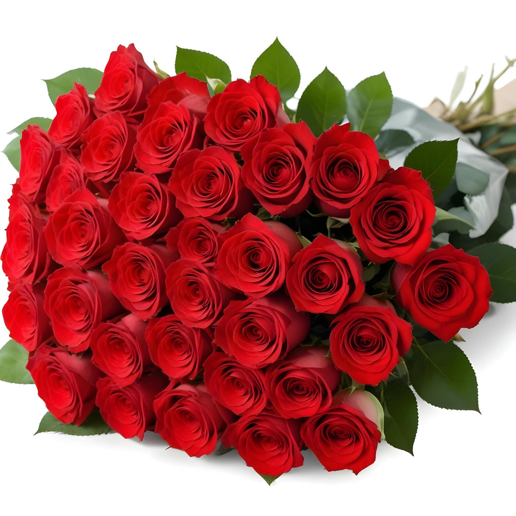 25 Pink Roses | Arabella Bouquets | Real Fresh Flowers for Delivery, Gift for Birthday Women, Congratulations, Anniversary, Thank You, Mother's Day