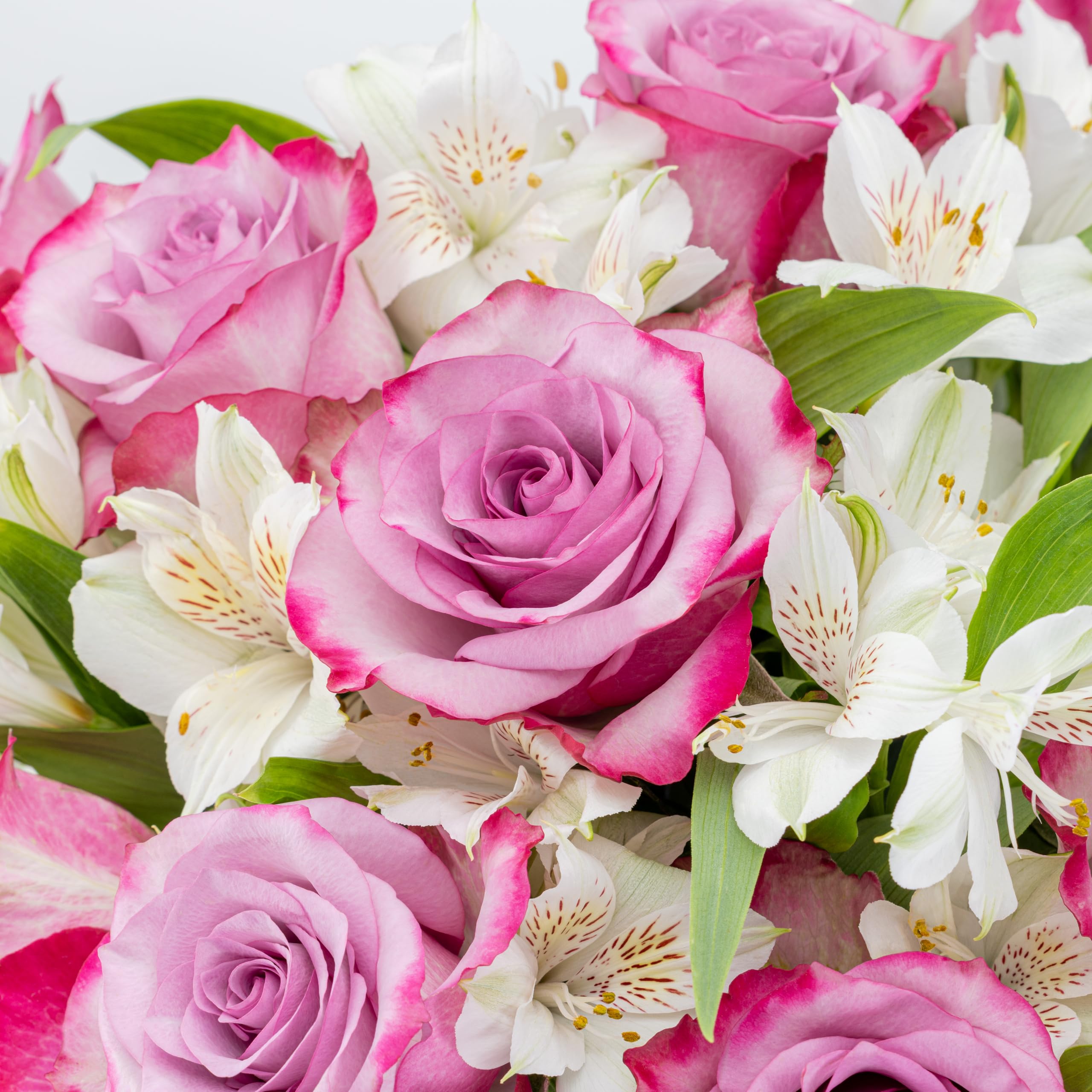 Benchmark Bouquets - Charming Roses & Alstroemeria (Glass Vase Included) - Fresh Flowers for Delivery - Gift for Graduation, Birthday, Anniversary, Sympathy, Get Well, Congratulations