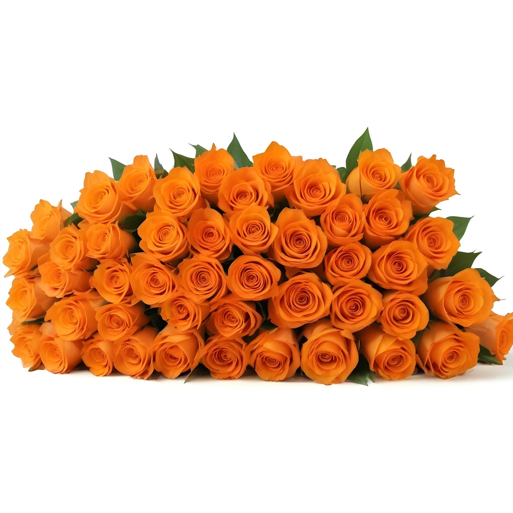 25 Pink Roses | Arabella Bouquets | Real Fresh Flowers for Delivery, Gift for Birthday Women, Congratulations, Anniversary, Thank You, Mother's Day