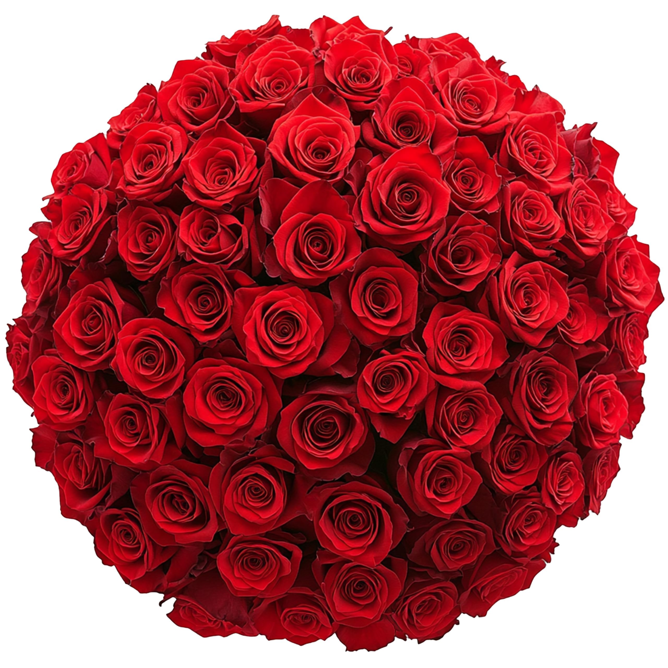 GlobalRose 100 Assorted Roses Bouquet - Responsibly Sourced Roses Fresh Flowers - Hand-Picked Flowers Fresh Bouquet for Mother's Day, Birthday & Special Occasions (4 Bunches of 25 Stems)