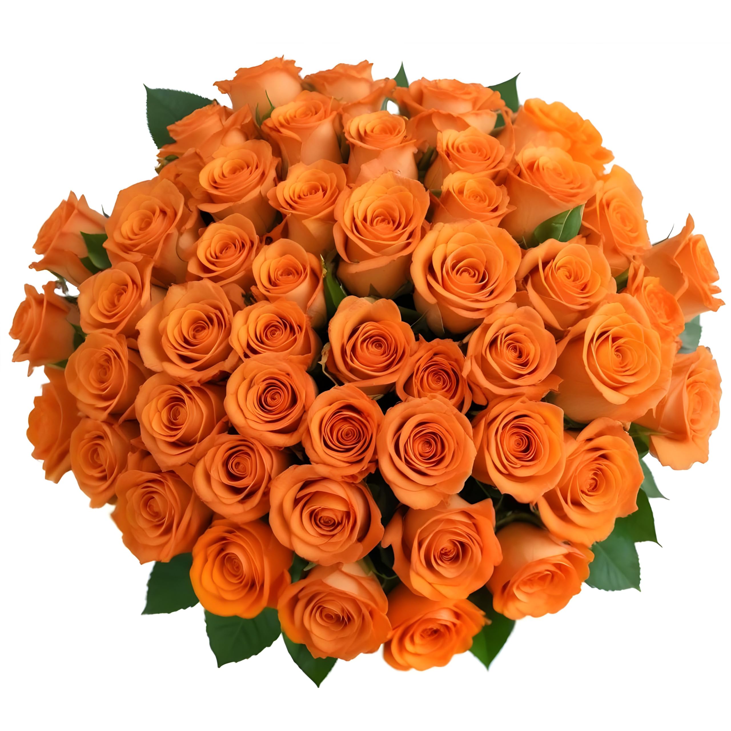 25 Pink Roses | Arabella Bouquets | Real Fresh Flowers for Delivery, Gift for Birthday Women, Congratulations, Anniversary, Thank You, Mother's Day