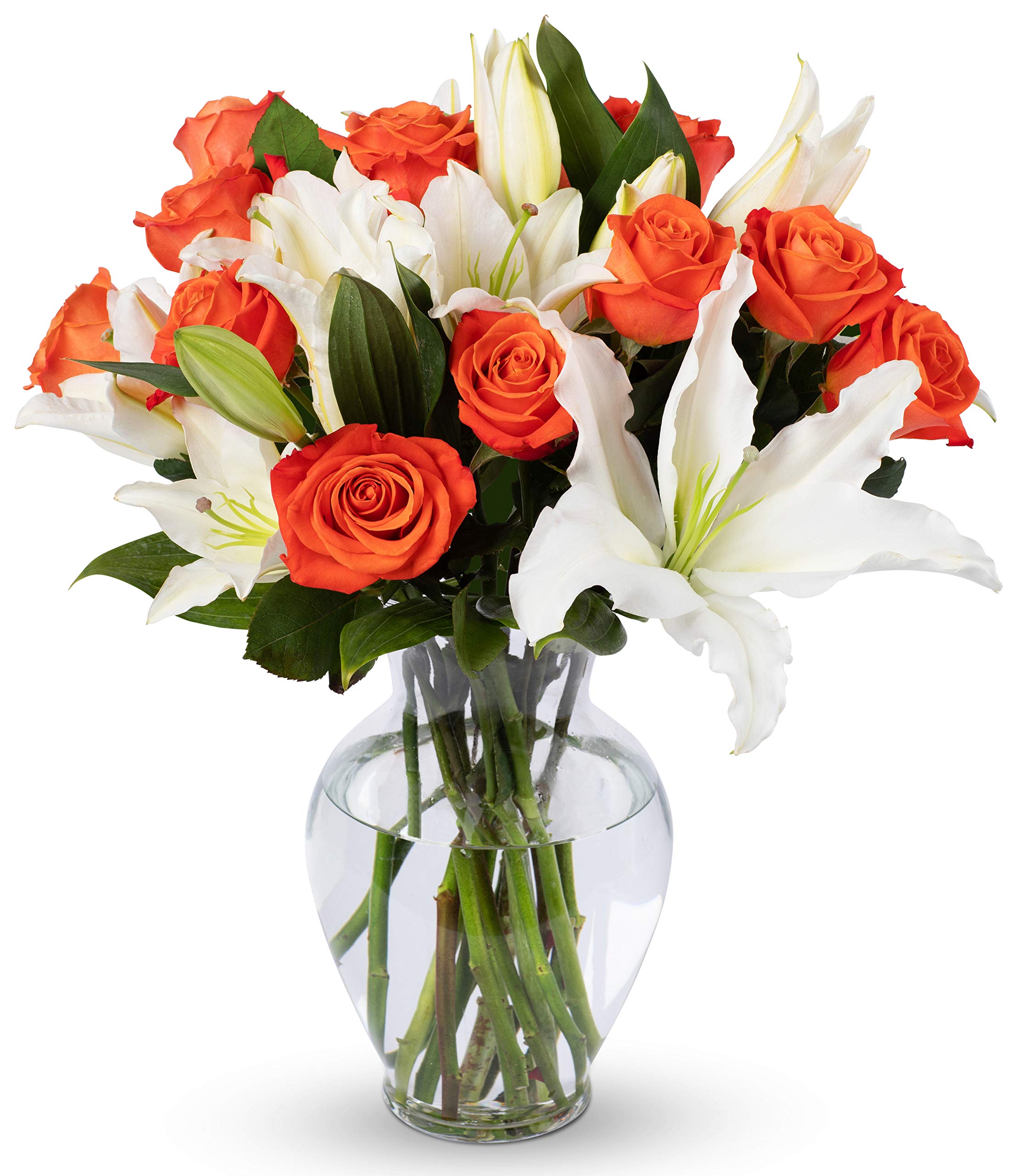Benchmark Bouquets Oriental Lily & Pink Rose Bouquet – Real Fresh Flowers for Delivery – Mothers Day Flowers for Mom – Long Stem Roses Fragrant Lilies – Gifts for Mom & Mother-in-Law – Vase Included