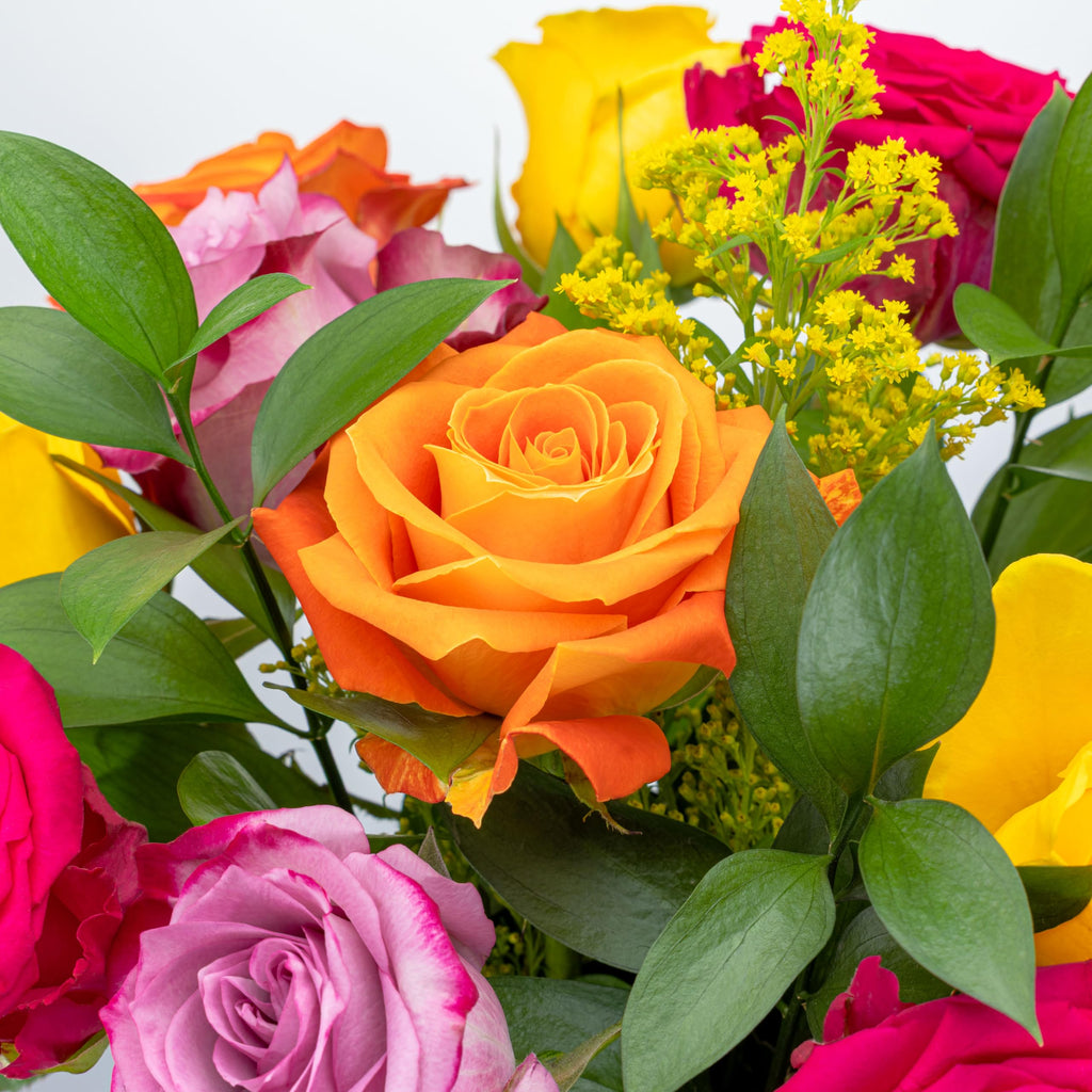 Benchmark Bouquets One Dozen Long Stem Rose Bouquet – Real Fresh Flowers for Delivery – Mother’s Day Roses Assorted Colors – Gifts for Mom, Birthdays & Celebrations – Glass Vase Included