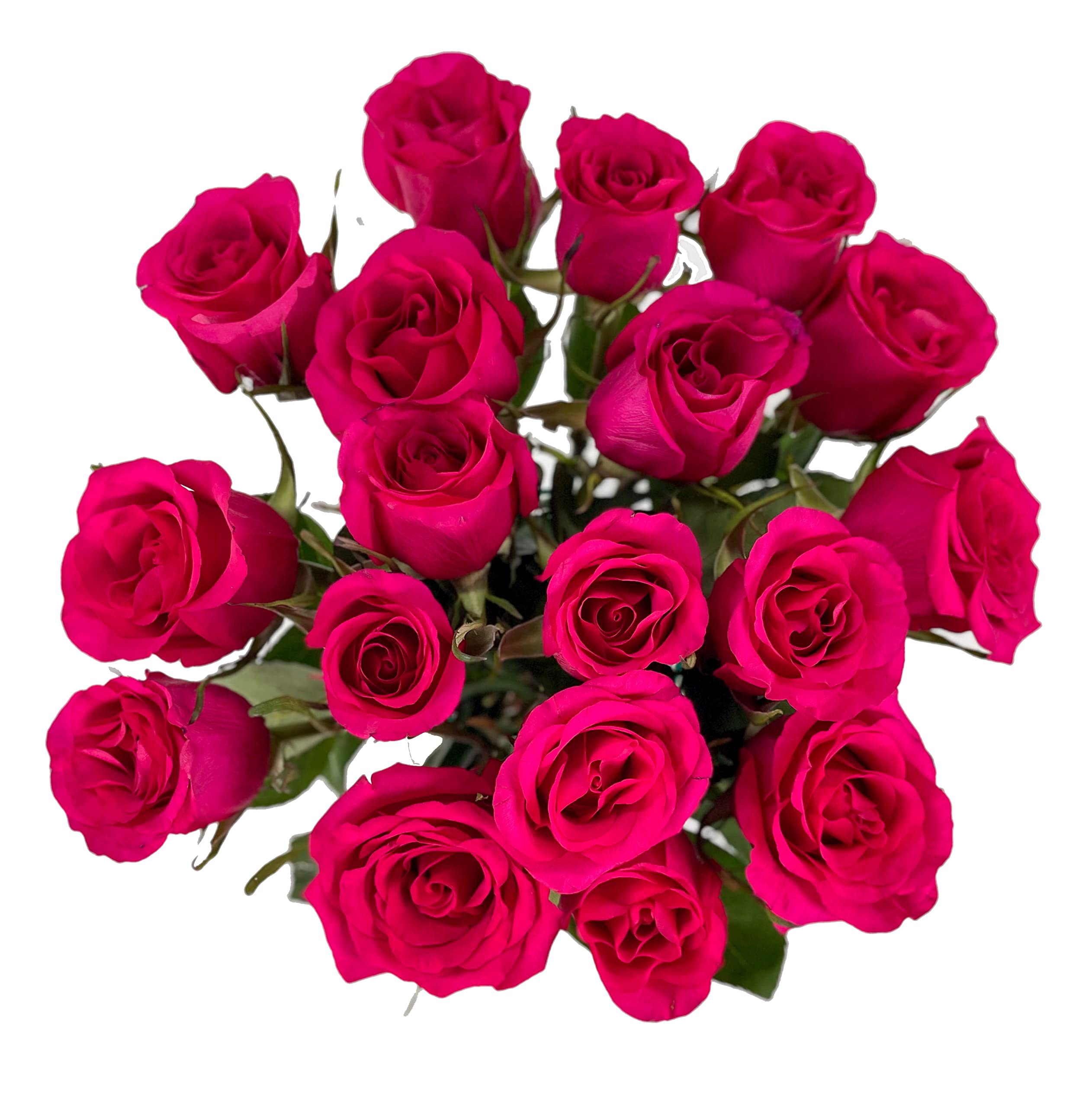 25 Pink Roses | Arabella Bouquets | Real Fresh Flowers for Delivery, Gift for Birthday Women, Congratulations, Anniversary, Thank You, Mother's Day