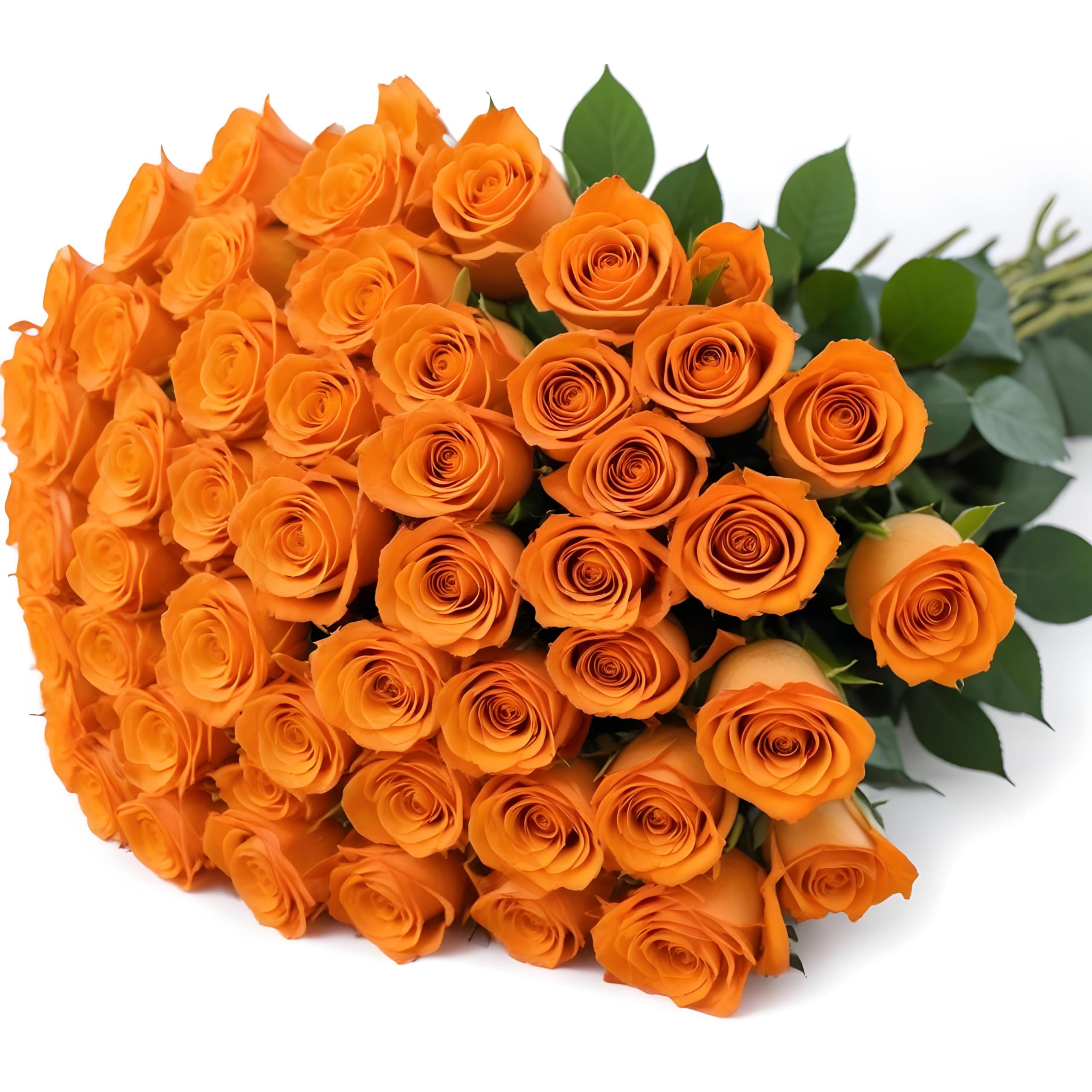 25 Pink Roses | Arabella Bouquets | Real Fresh Flowers for Delivery, Gift for Birthday Women, Congratulations, Anniversary, Thank You, Mother's Day