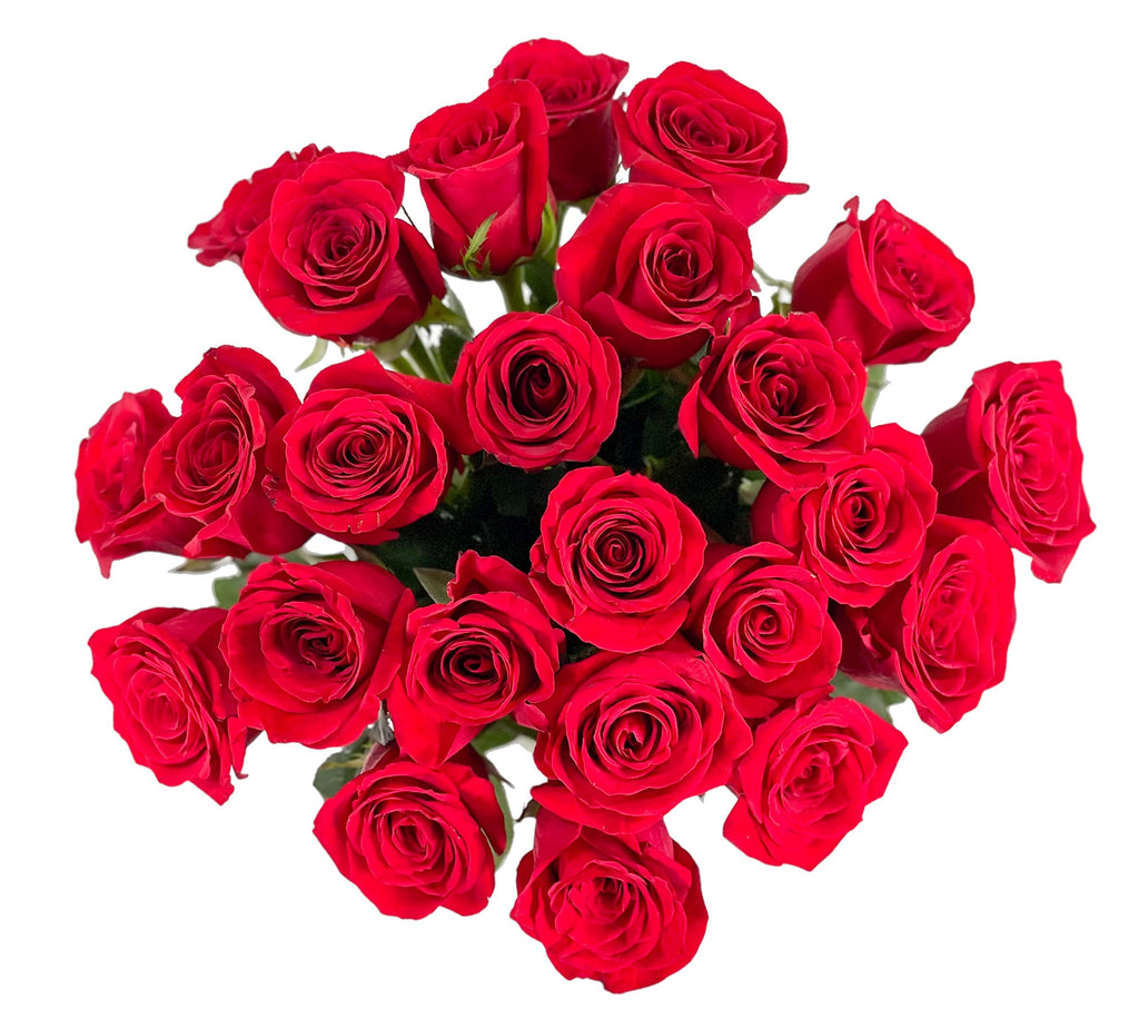 25 Pink Roses | Arabella Bouquets | Real Fresh Flowers for Delivery, Gift for Birthday Women, Congratulations, Anniversary, Thank You, Mother's Day