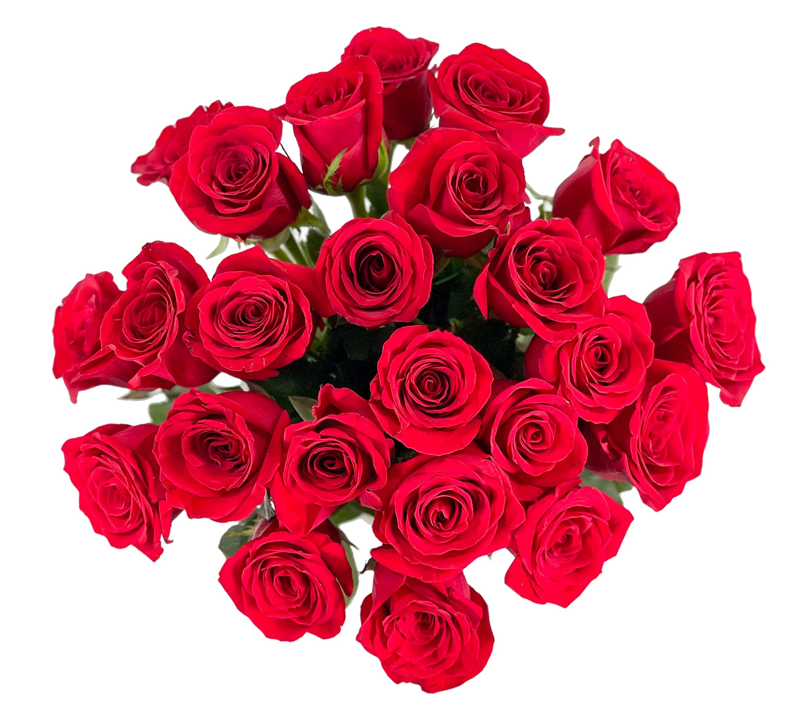 25 Pink Roses | Arabella Bouquets | Real Fresh Flowers for Delivery, Gift for Birthday Women, Congratulations, Anniversary, Thank You, Mother's Day
