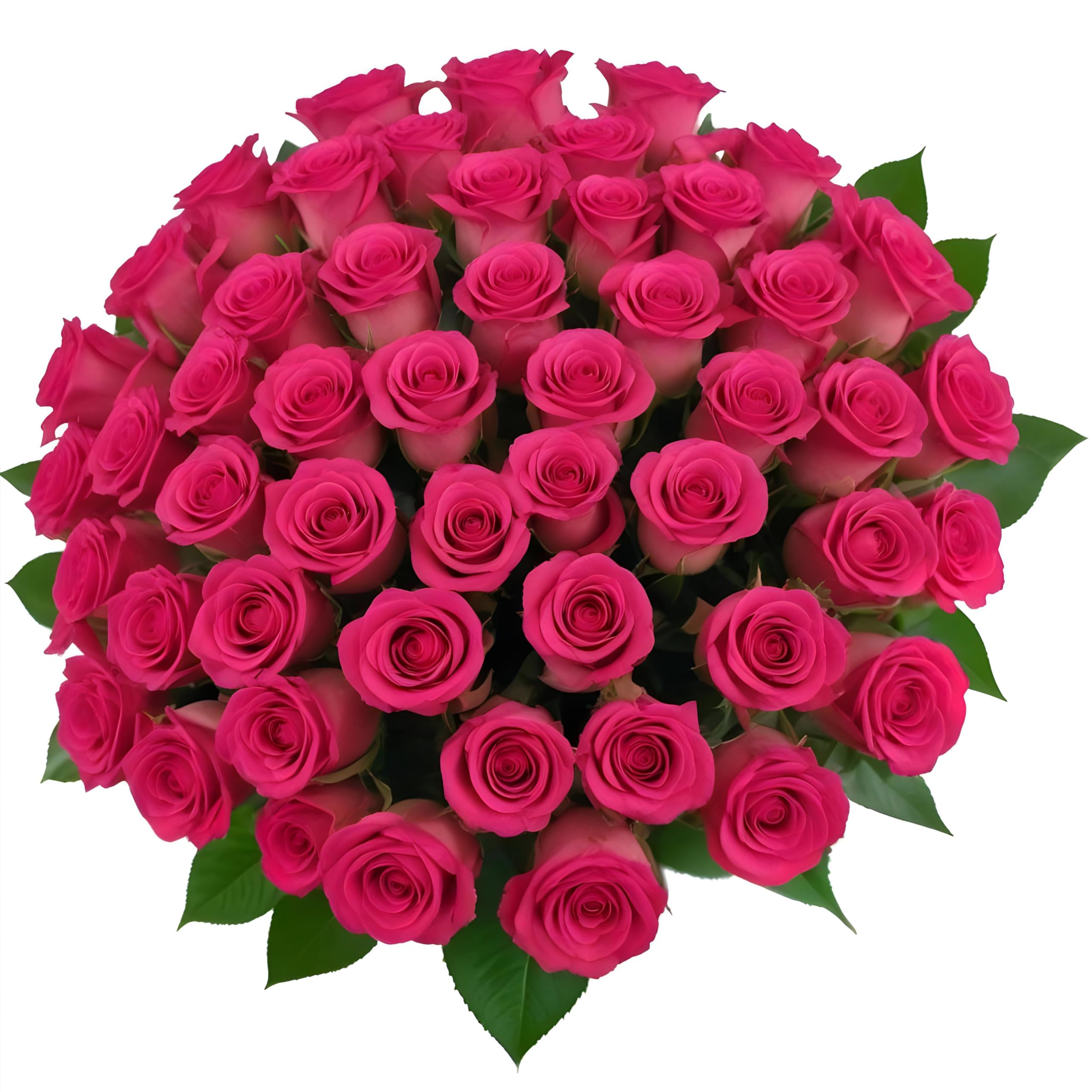 25 Pink Roses | Arabella Bouquets | Real Fresh Flowers for Delivery, Gift for Birthday Women, Congratulations, Anniversary, Thank You, Mother's Day