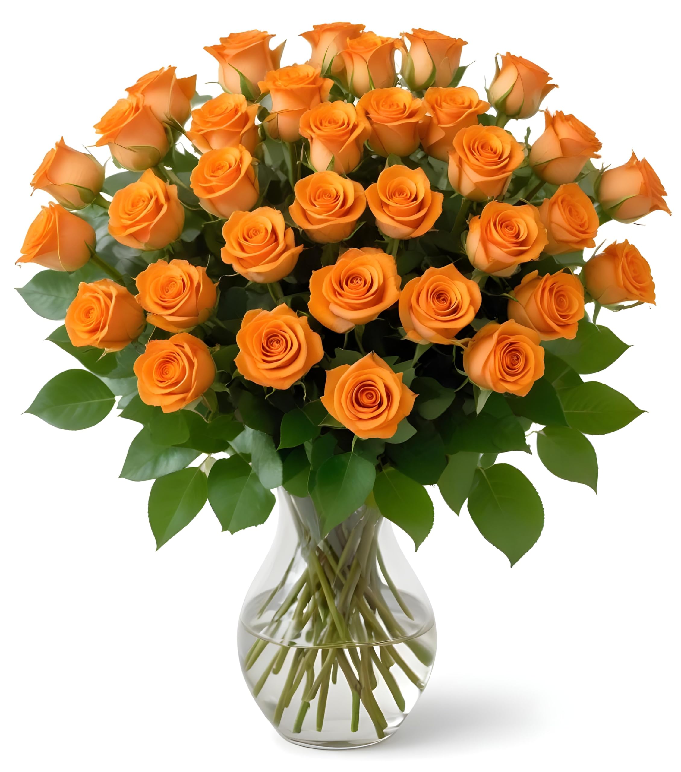 25 Pink Roses | Arabella Bouquets | Real Fresh Flowers for Delivery, Gift for Birthday Women, Congratulations, Anniversary, Thank You, Mother's Day