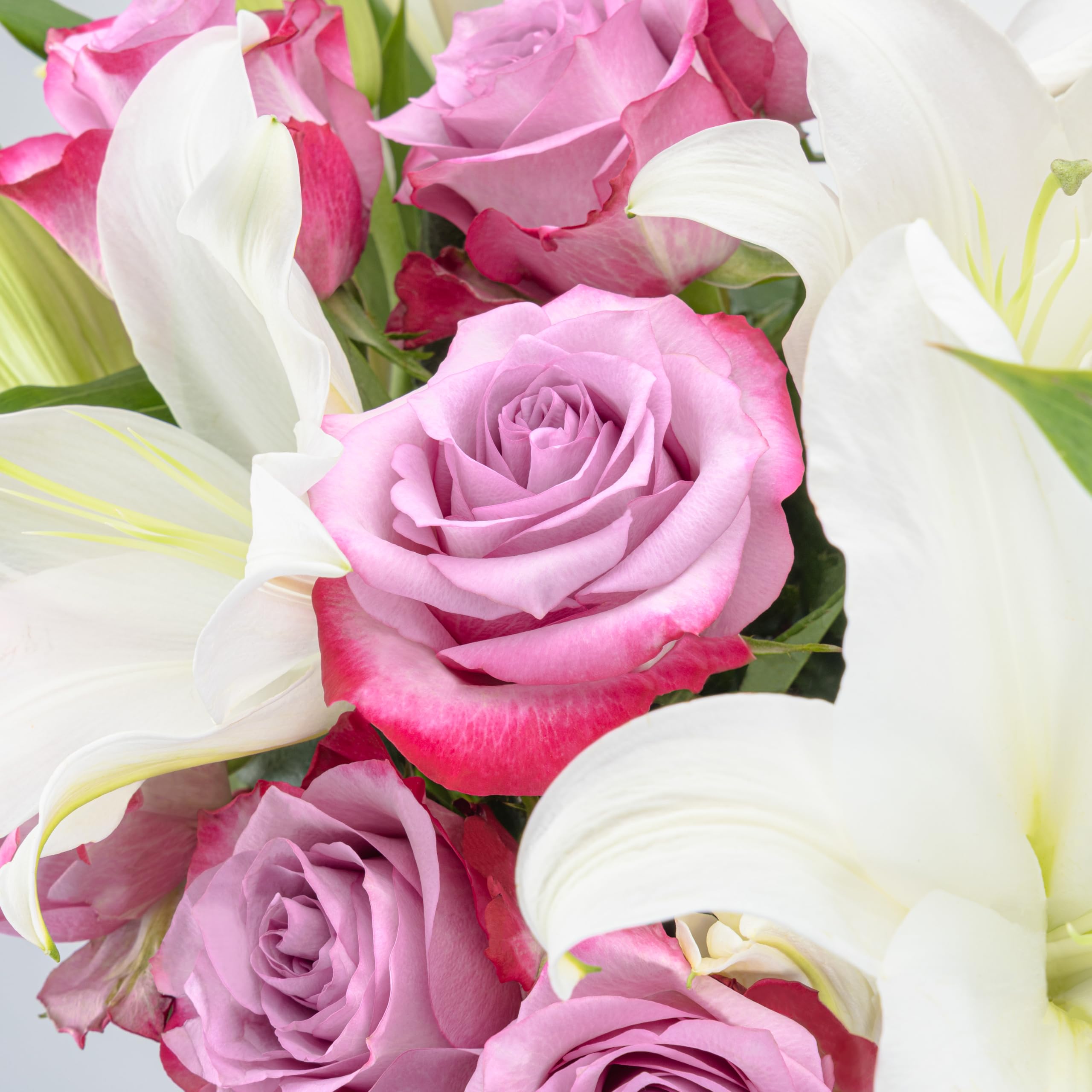 Benchmark Bouquets Oriental Lily & Pink Rose Bouquet – Real Fresh Flowers for Delivery – Mothers Day Flowers for Mom – Long Stem Roses Fragrant Lilies – Gifts for Mom & Mother-in-Law – Vase Included