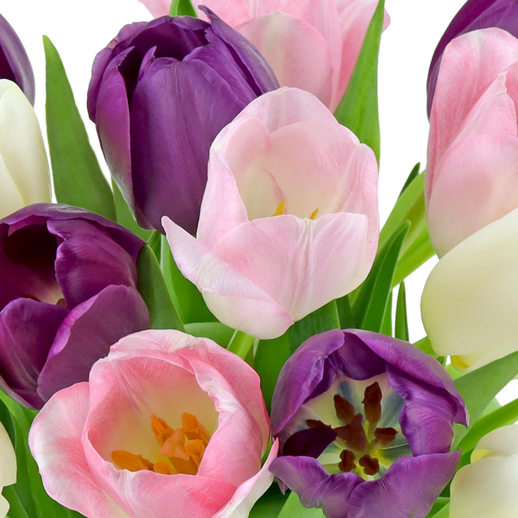 Benchmark Bouquets Pink Tulips – Mothers Day Flowers for Mom – Fresh Flowers for Delivery – Pink Bouquet – Birthday Gifts for Women – Fresh Cut Tulips – Glass Vase Included (20 Stems)