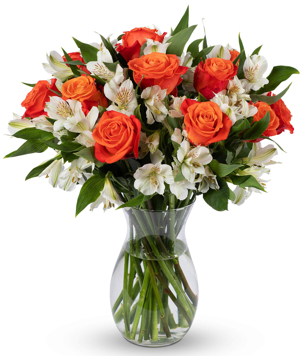 Benchmark Bouquets - Charming Roses & Alstroemeria (Glass Vase Included) - Fresh Flowers for Delivery - Gift for Graduation, Birthday, Anniversary, Sympathy, Get Well, Congratulations