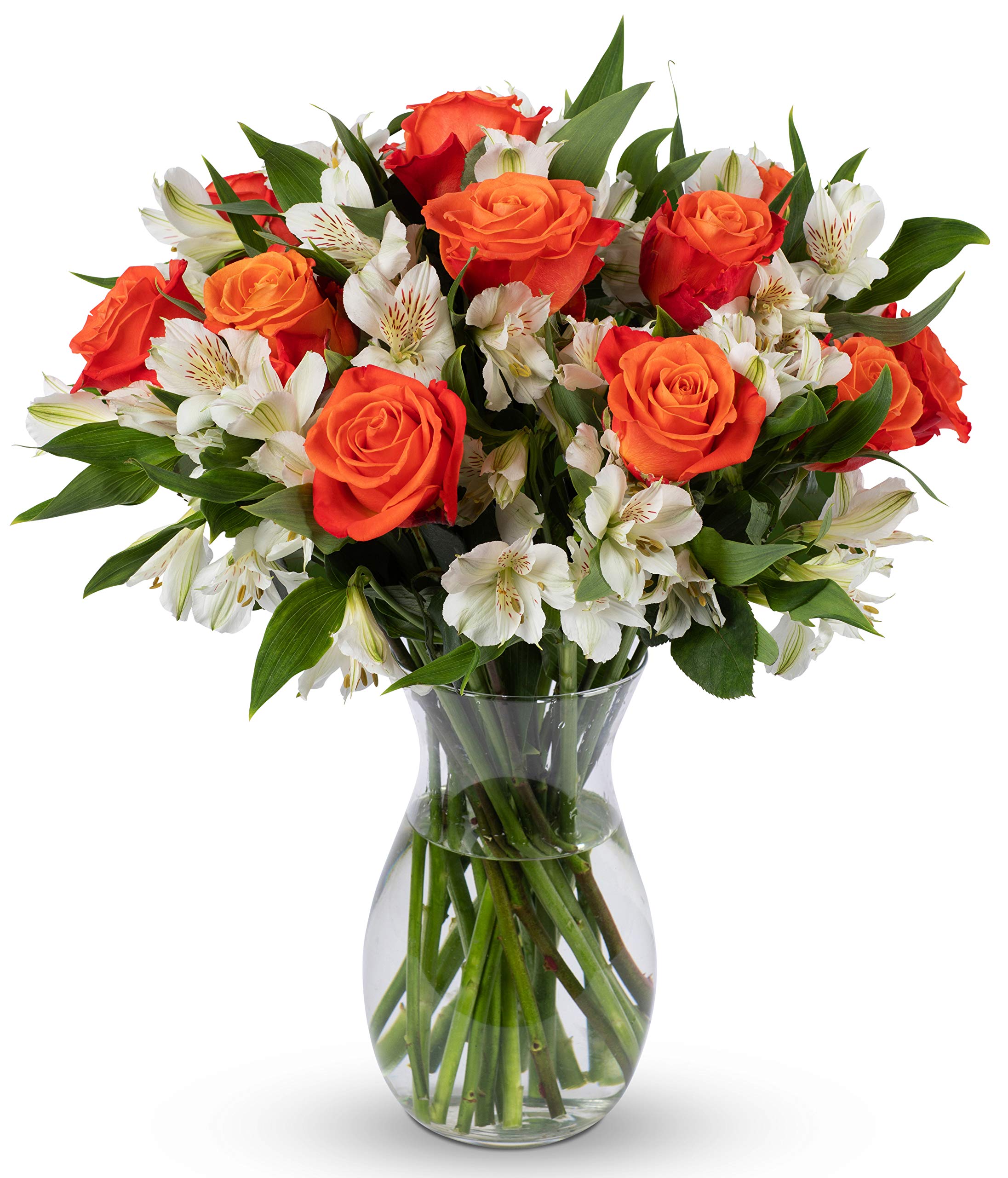 Benchmark Bouquets - Charming Roses & Alstroemeria (Glass Vase Included) - Fresh Flowers for Delivery - Gift for Graduation, Birthday, Anniversary, Sympathy, Get Well, Congratulations