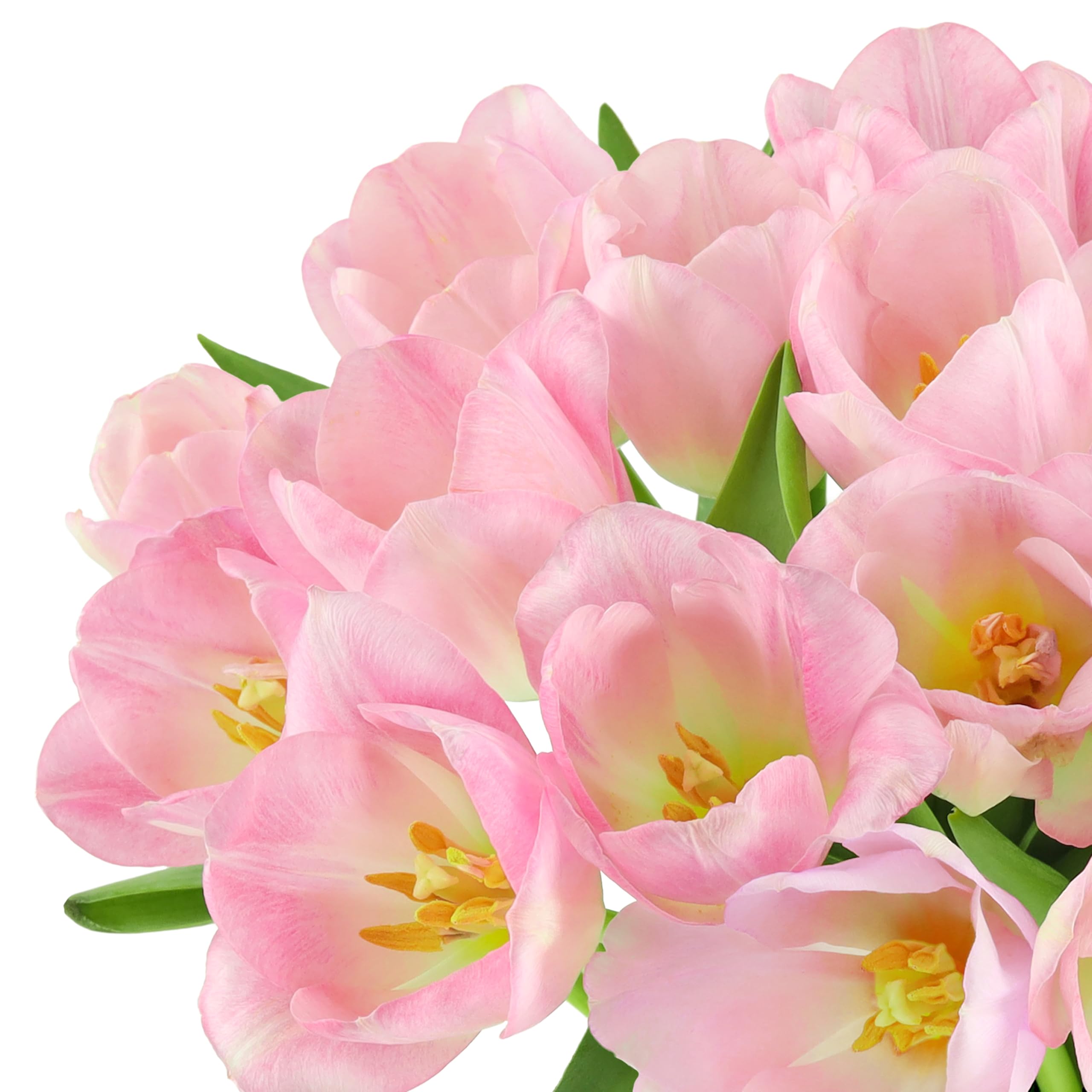 Benchmark Bouquets Pink Tulips – Mothers Day Flowers for Mom – Fresh Flowers for Delivery – Pink Bouquet – Birthday Gifts for Women – Fresh Cut Tulips – Glass Vase Included (20 Stems)