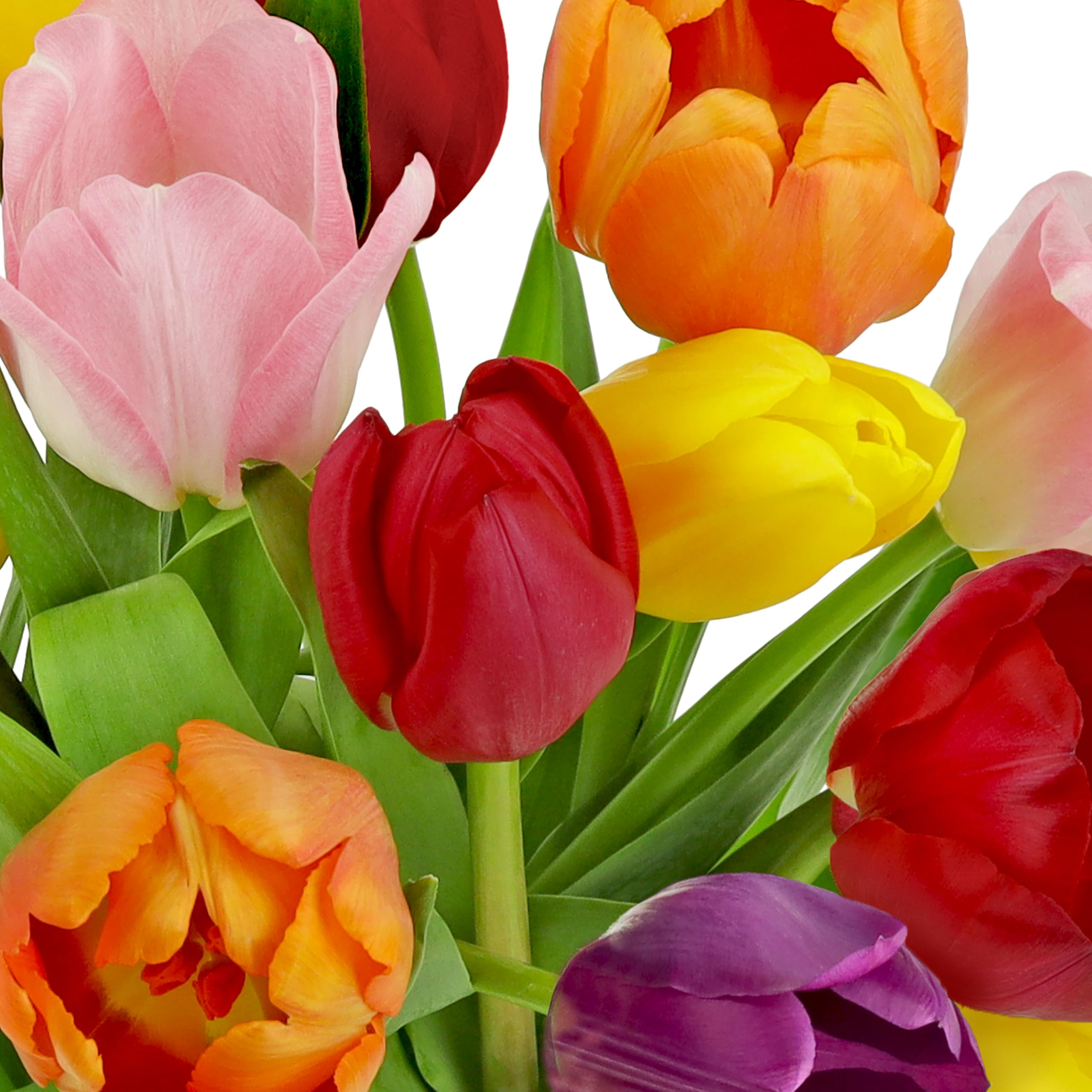 Benchmark Bouquets Pink Tulips – Mothers Day Flowers for Mom – Fresh Flowers for Delivery – Pink Bouquet – Birthday Gifts for Women – Fresh Cut Tulips – Glass Vase Included (20 Stems)
