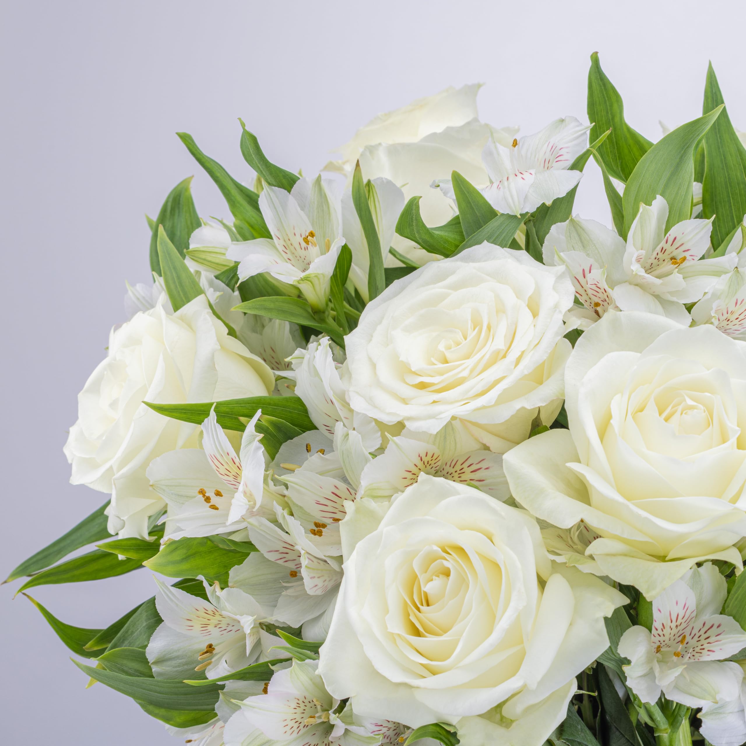 Benchmark Bouquets - Charming Roses & Alstroemeria (Glass Vase Included) - Fresh Flowers for Delivery - Gift for Graduation, Birthday, Anniversary, Sympathy, Get Well, Congratulations