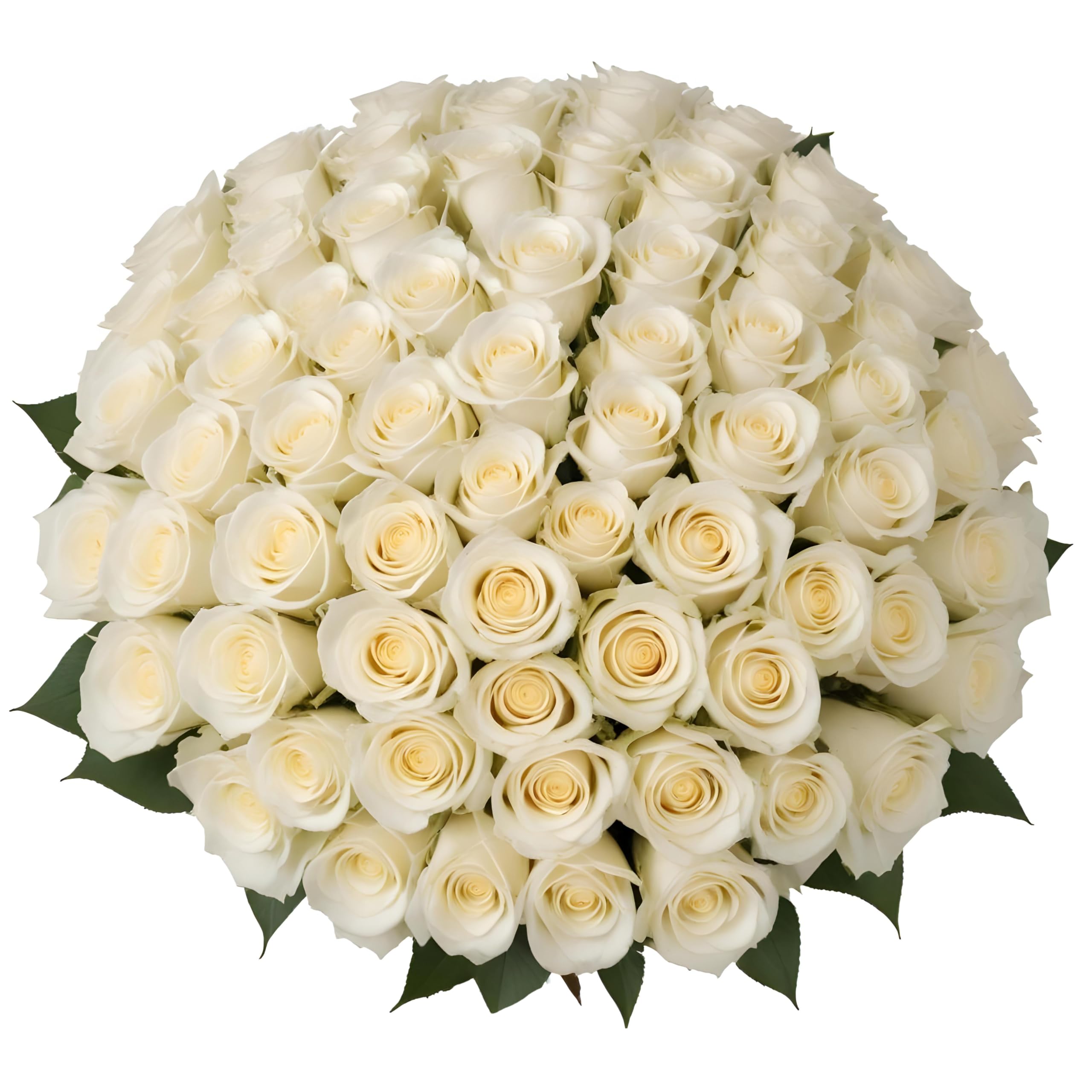 25 Pink Roses | Arabella Bouquets | Real Fresh Flowers for Delivery, Gift for Birthday Women, Congratulations, Anniversary, Thank You, Mother's Day