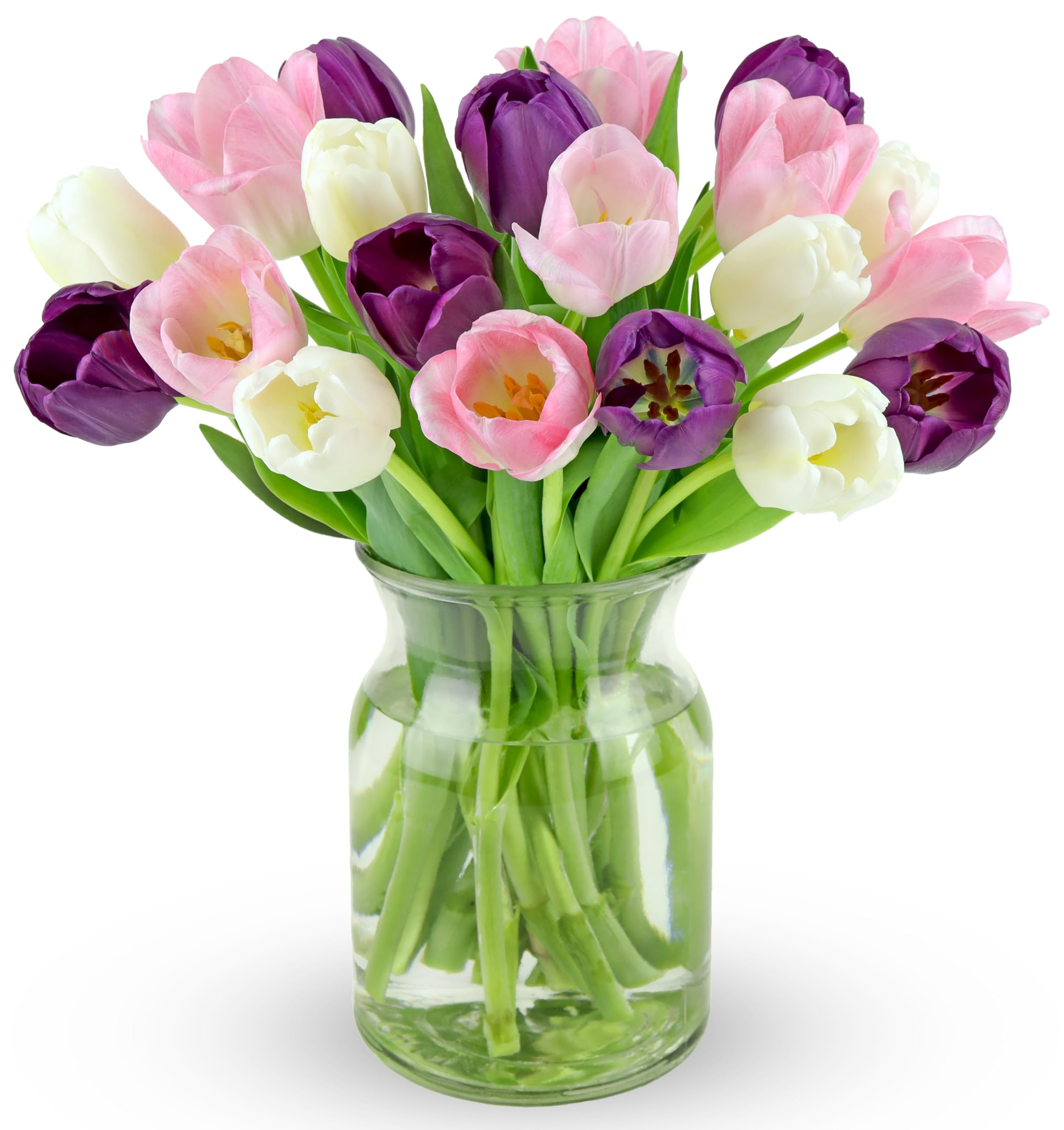 Benchmark Bouquets Pink Tulips – Mothers Day Flowers for Mom – Fresh Flowers for Delivery – Pink Bouquet – Birthday Gifts for Women – Fresh Cut Tulips – Glass Vase Included (20 Stems)