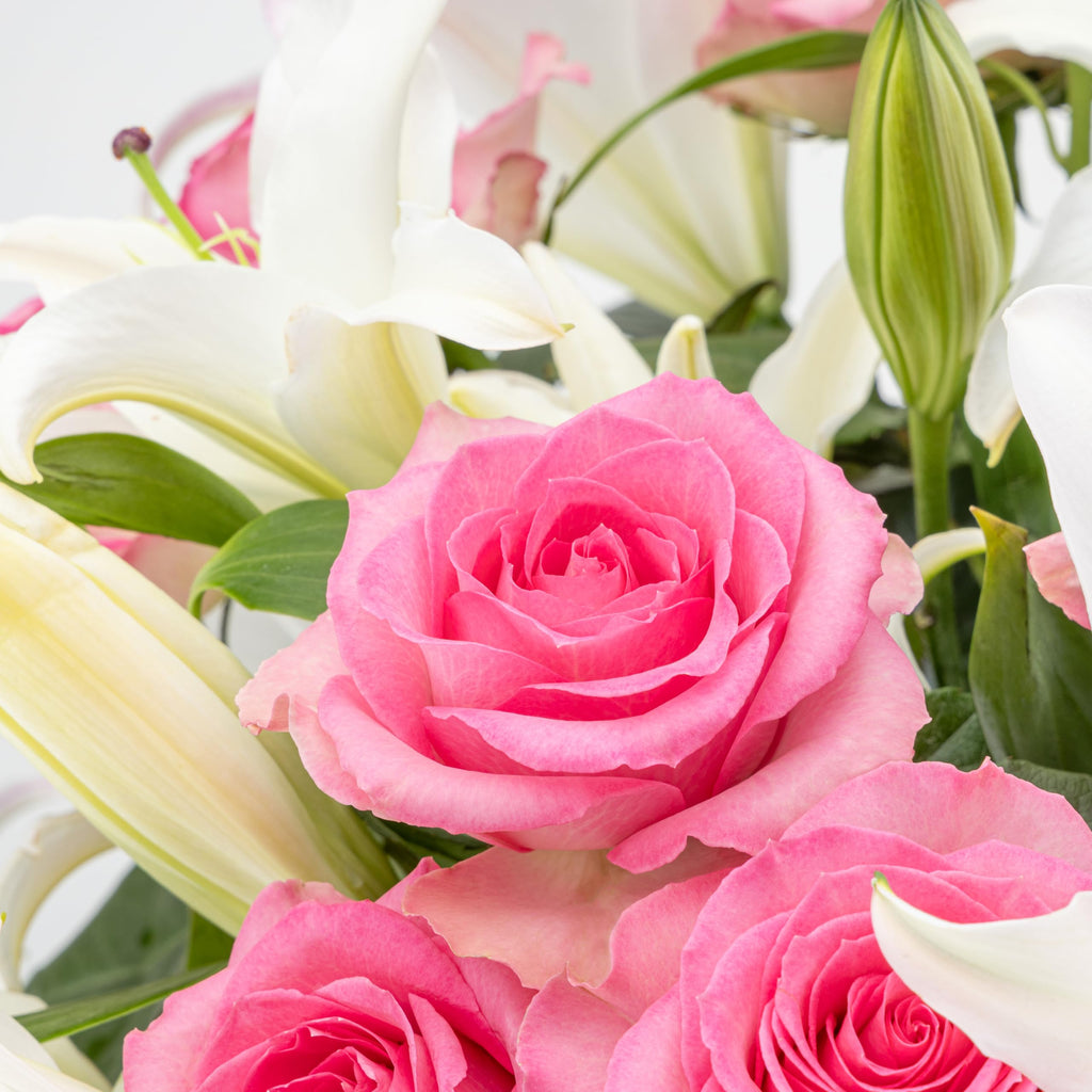 Benchmark Bouquets Oriental Lily & Pink Rose Bouquet – Real Fresh Flowers for Delivery – Mothers Day Flowers for Mom – Long Stem Roses Fragrant Lilies – Gifts for Mom & Mother-in-Law – Vase Included