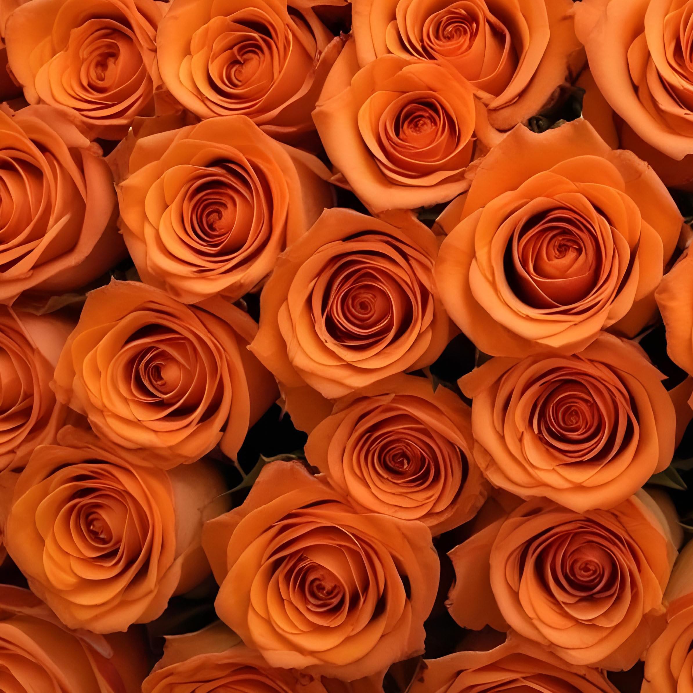 25 Pink Roses | Arabella Bouquets | Real Fresh Flowers for Delivery, Gift for Birthday Women, Congratulations, Anniversary, Thank You, Mother's Day