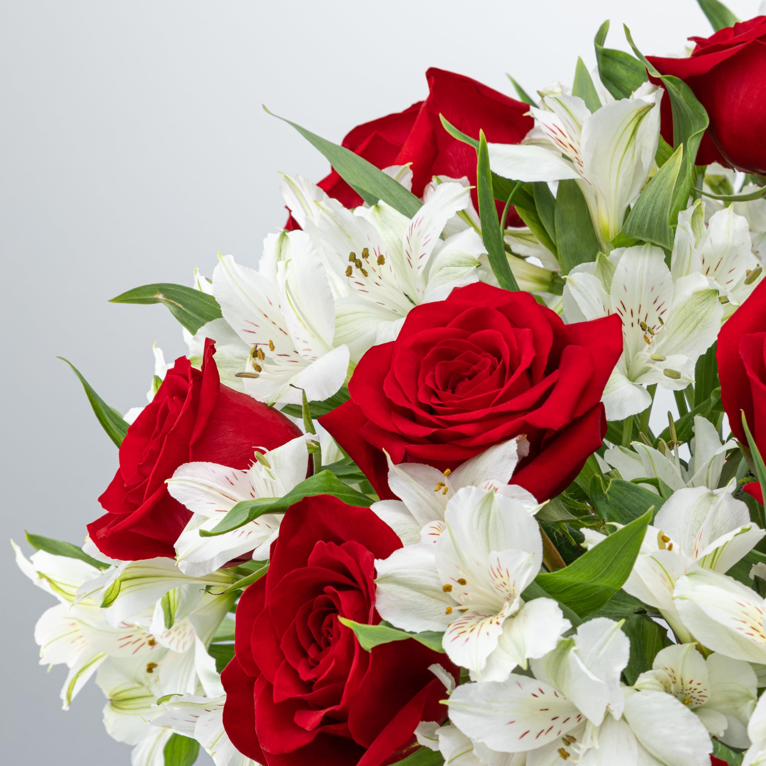 Benchmark Bouquets - Charming Roses & Alstroemeria (Glass Vase Included) - Fresh Flowers for Delivery - Gift for Graduation, Birthday, Anniversary, Sympathy, Get Well, Congratulations