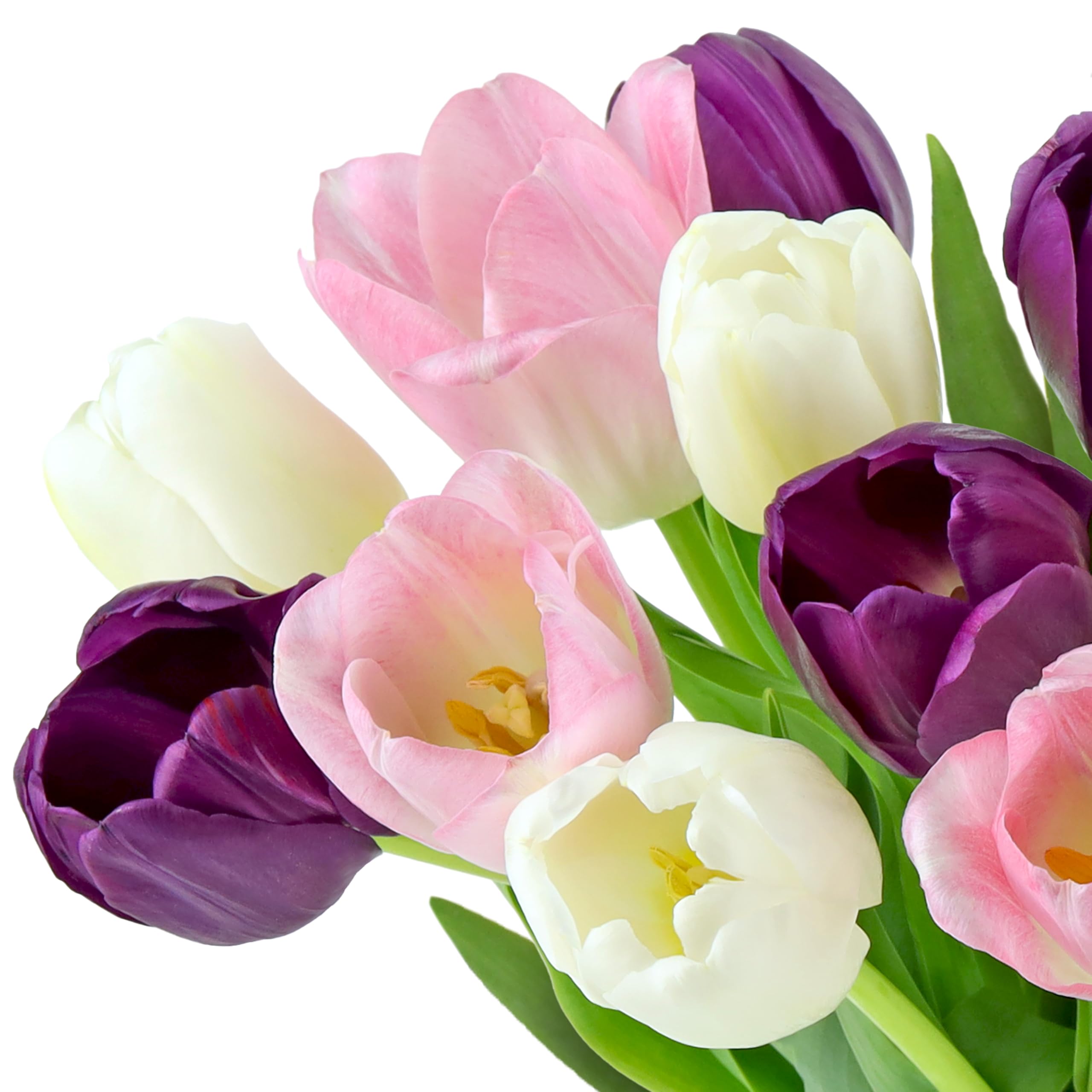Benchmark Bouquets Pink Tulips – Mothers Day Flowers for Mom – Fresh Flowers for Delivery – Pink Bouquet – Birthday Gifts for Women – Fresh Cut Tulips – Glass Vase Included (20 Stems)