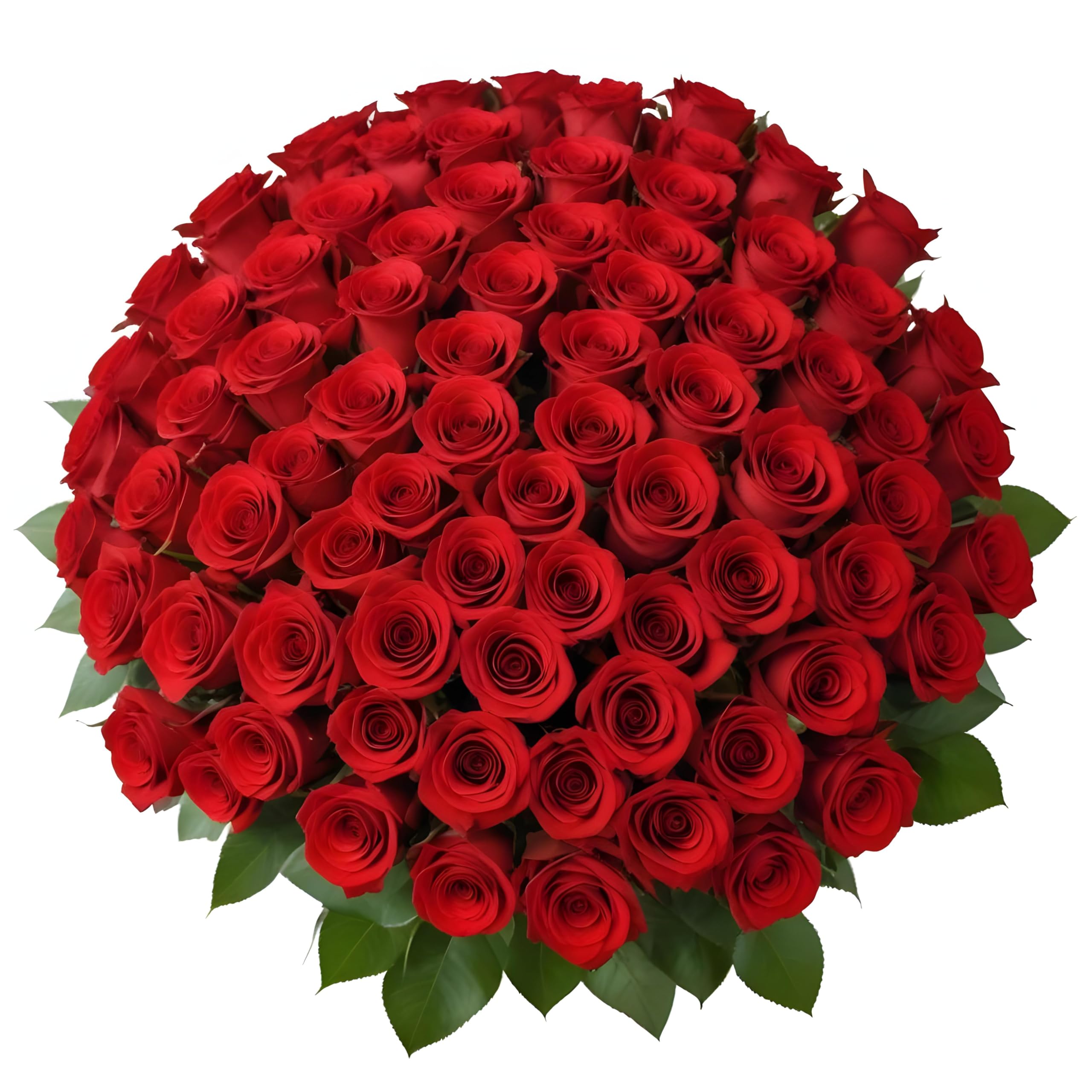 25 Pink Roses | Arabella Bouquets | Real Fresh Flowers for Delivery, Gift for Birthday Women, Congratulations, Anniversary, Thank You, Mother's Day