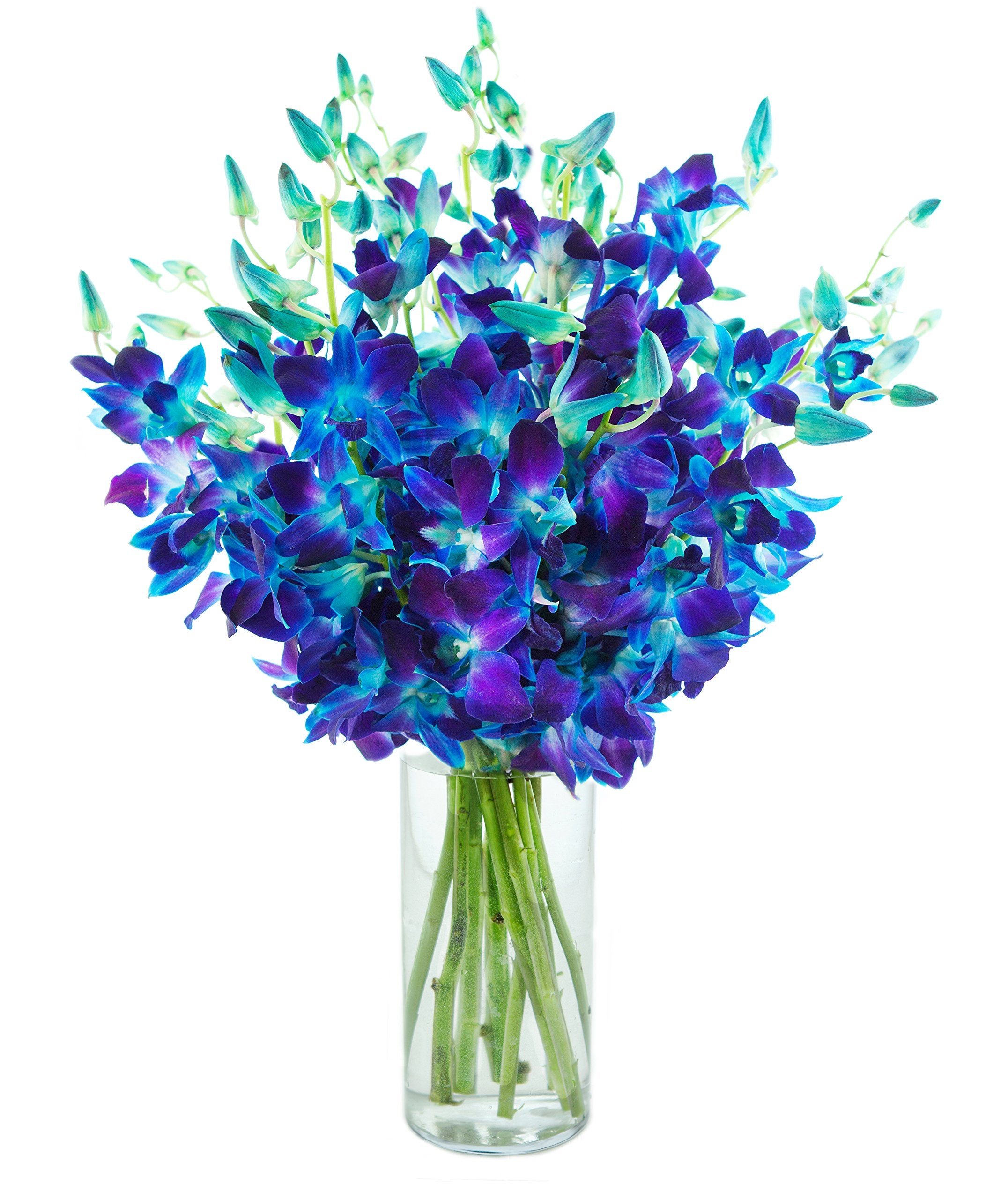 KaBloom - Bouquet of 20 Exotic Purple Dendrobium Orchids from Thailand with Vase - Fresh Flowers for Birthday, Valentine's & Mother's Day
