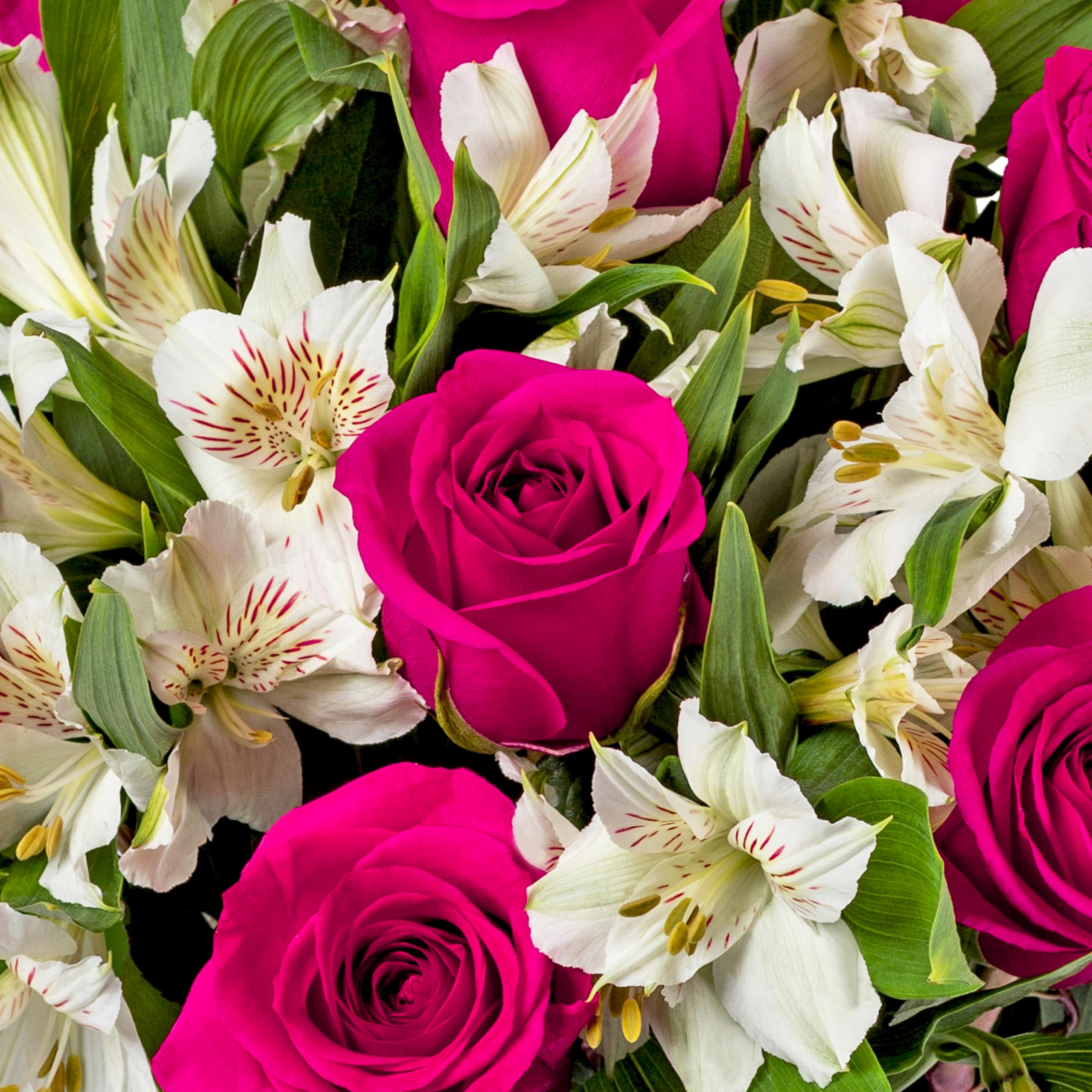 Benchmark Bouquets - Charming Roses & Alstroemeria (Glass Vase Included) - Fresh Flowers for Delivery - Gift for Graduation, Birthday, Anniversary, Sympathy, Get Well, Congratulations